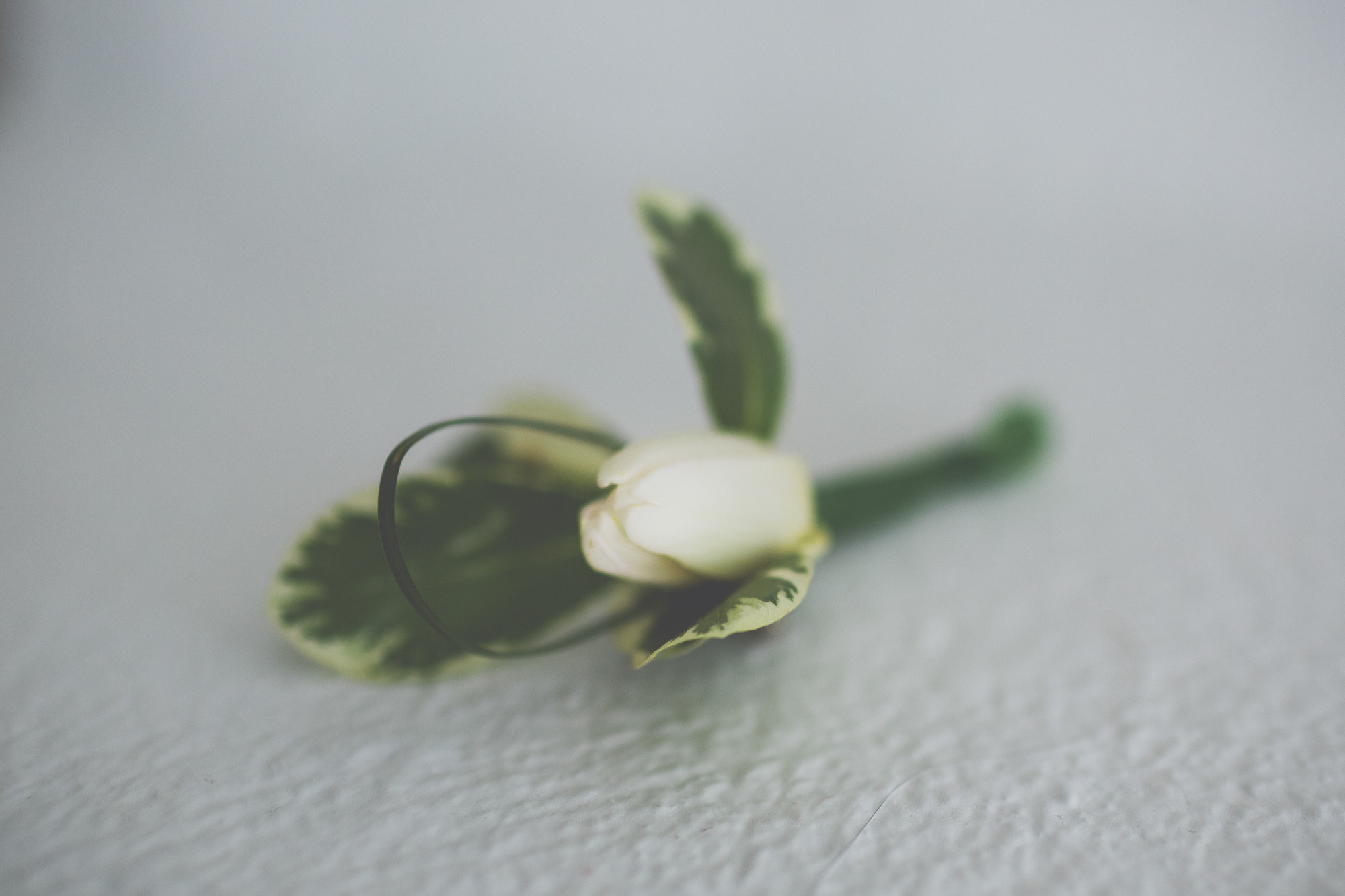 Вера и Андрей, Санторини, Греция