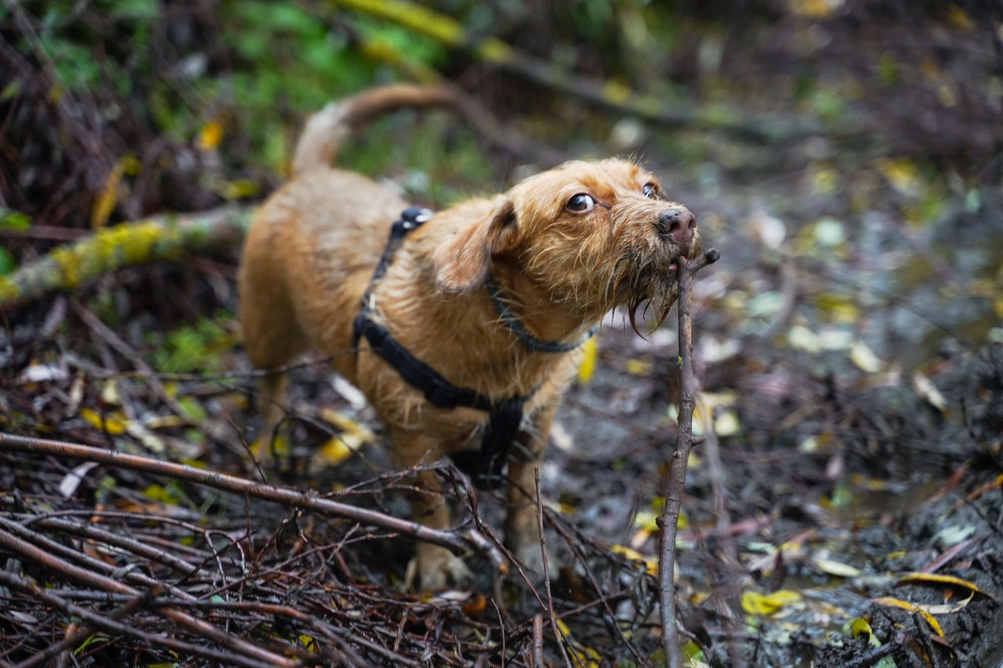Тамара и Екатерина, Прага, Чехия