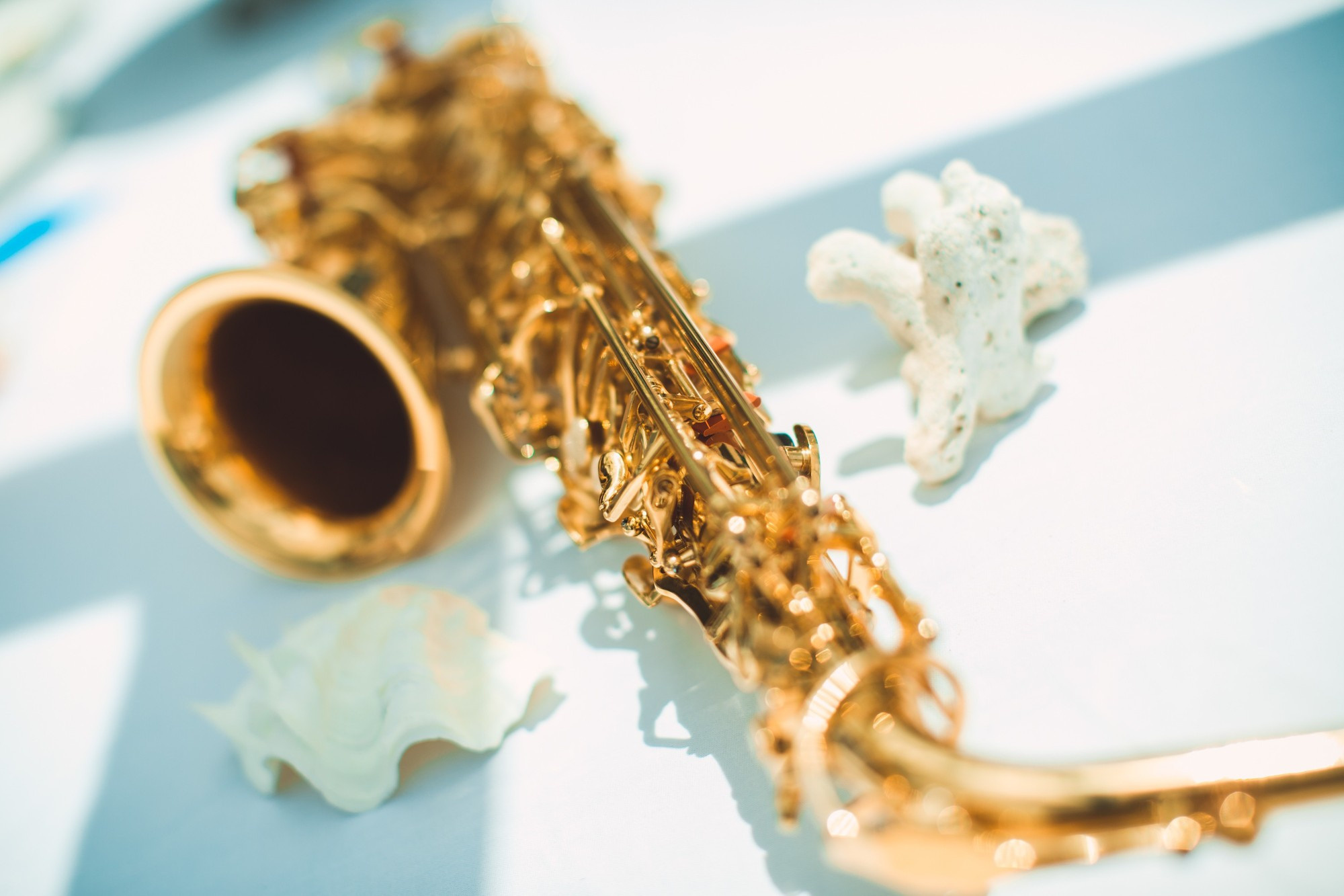 Любовь и Павел. Сейшельские острова