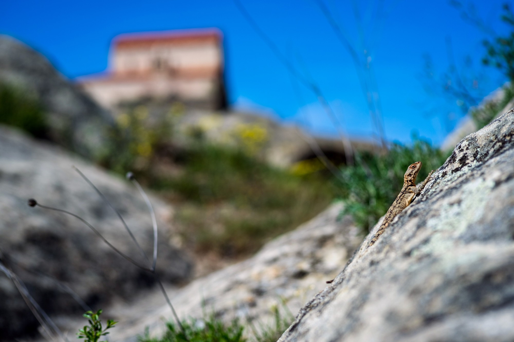Фототур в Грузию, апрель 2017 и 2018