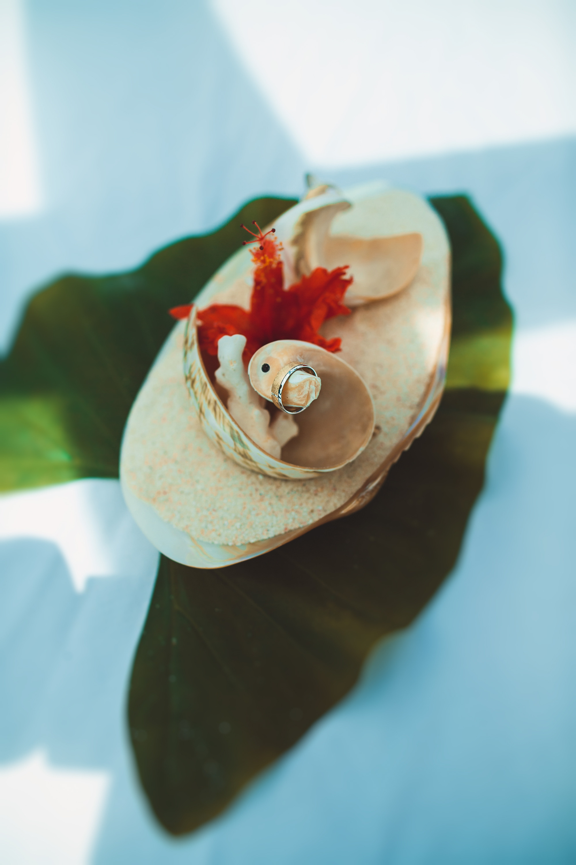 Любовь и Павел. Сейшельские острова