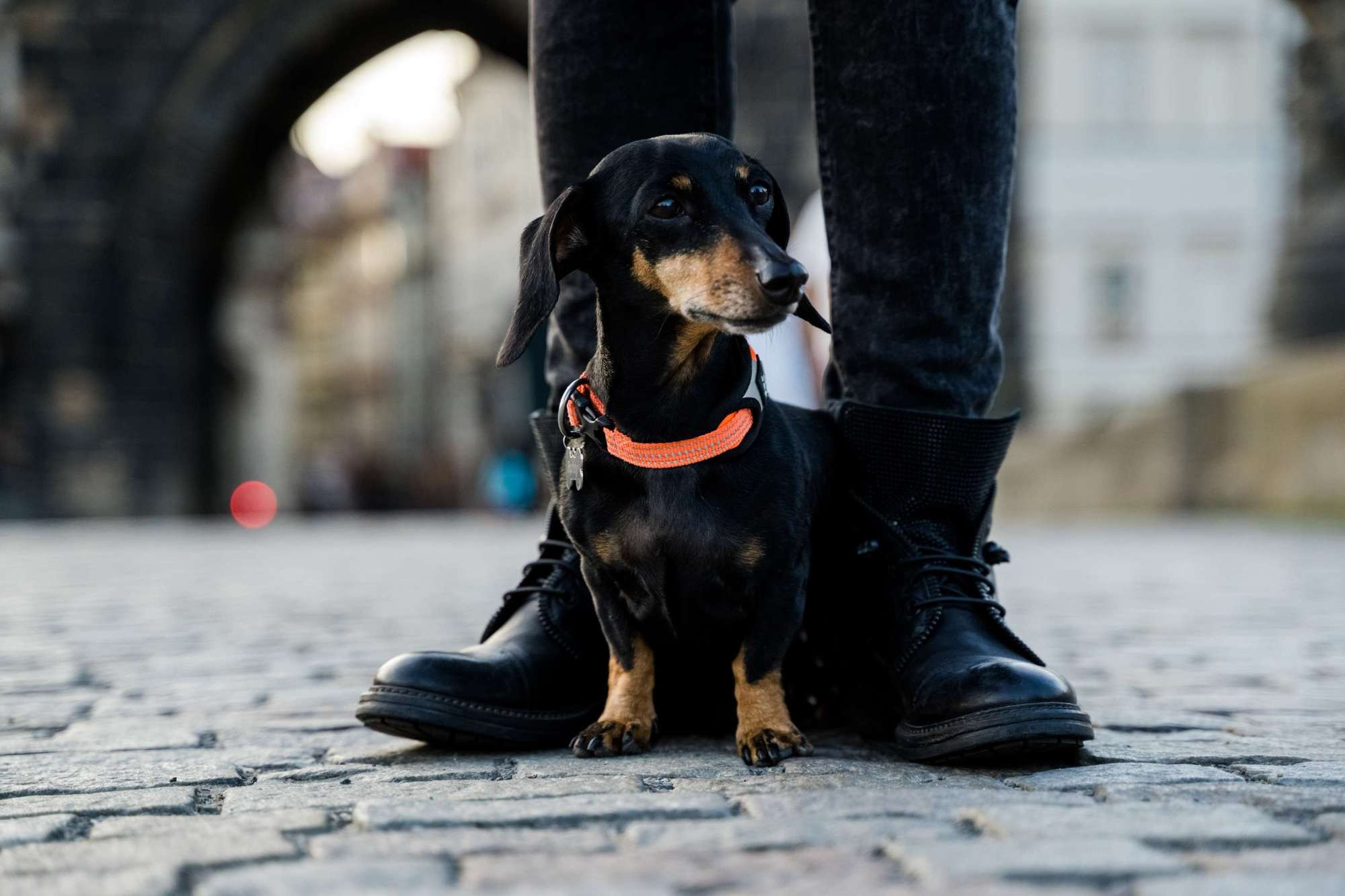 Свой портрет, Прага