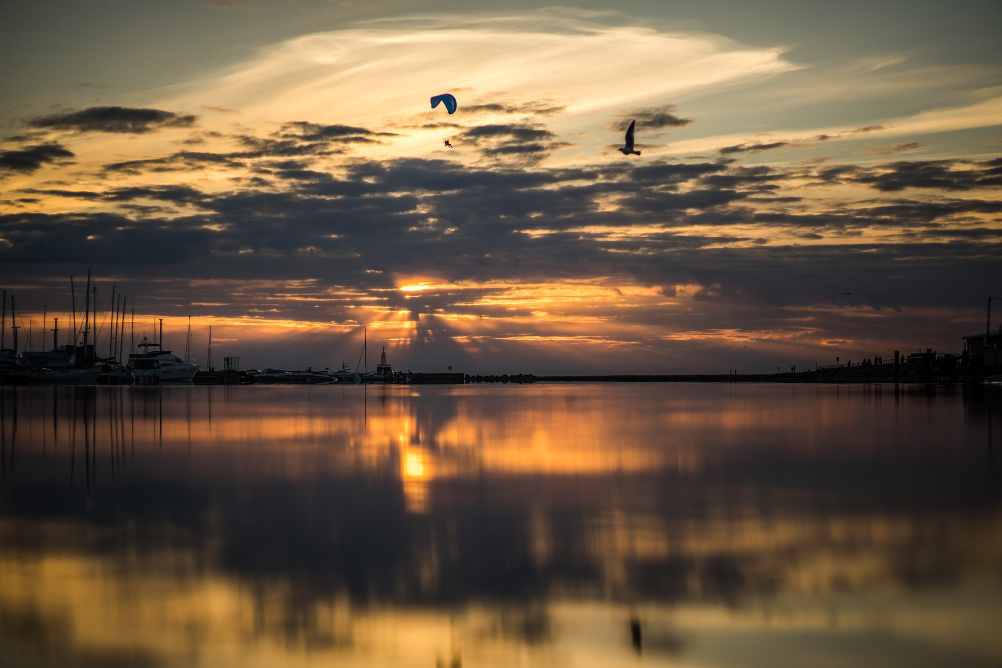 Маша и Андрей, Таллин, Эстония