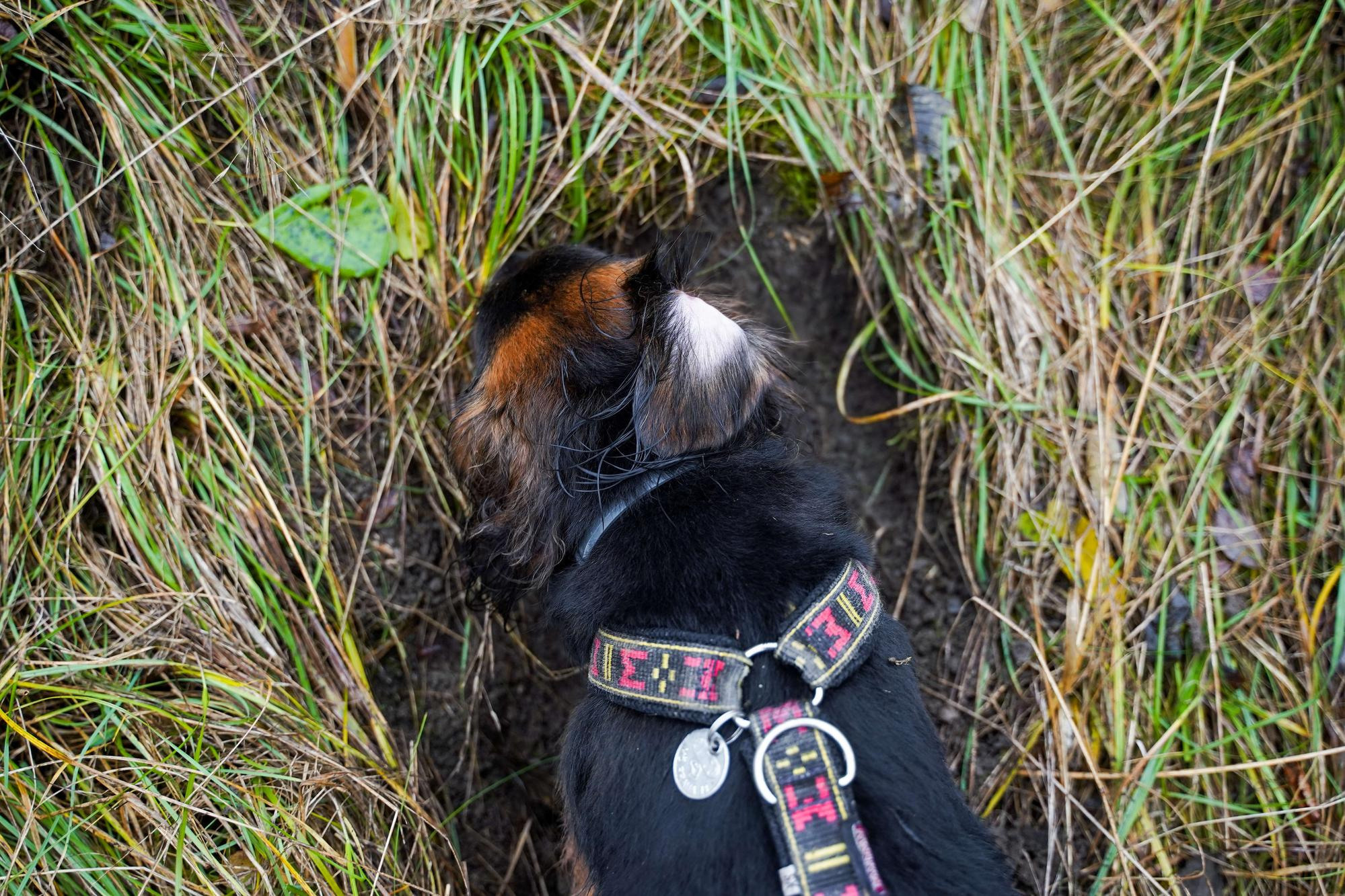 Тамара и Екатерина, Прага, Чехия