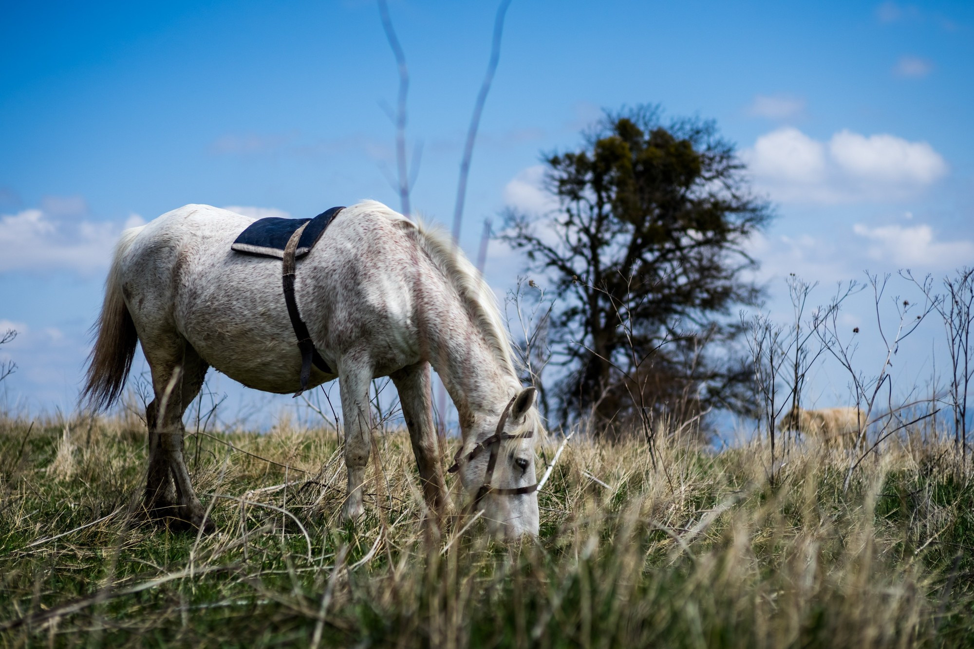 Фототур в Грузию, апрель 2017 и 2018