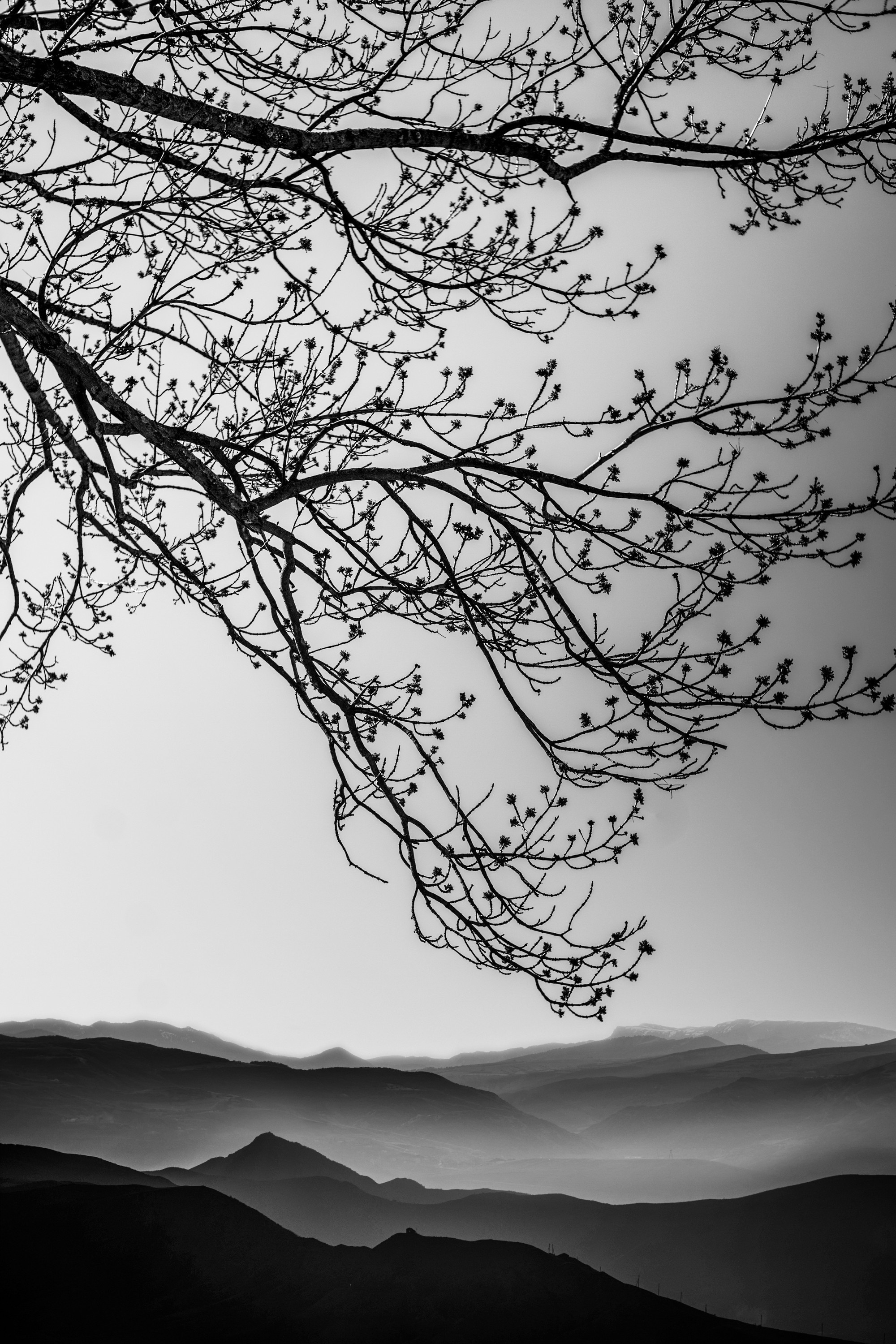 Фототур в Грузию, апрель 2017 и 2018