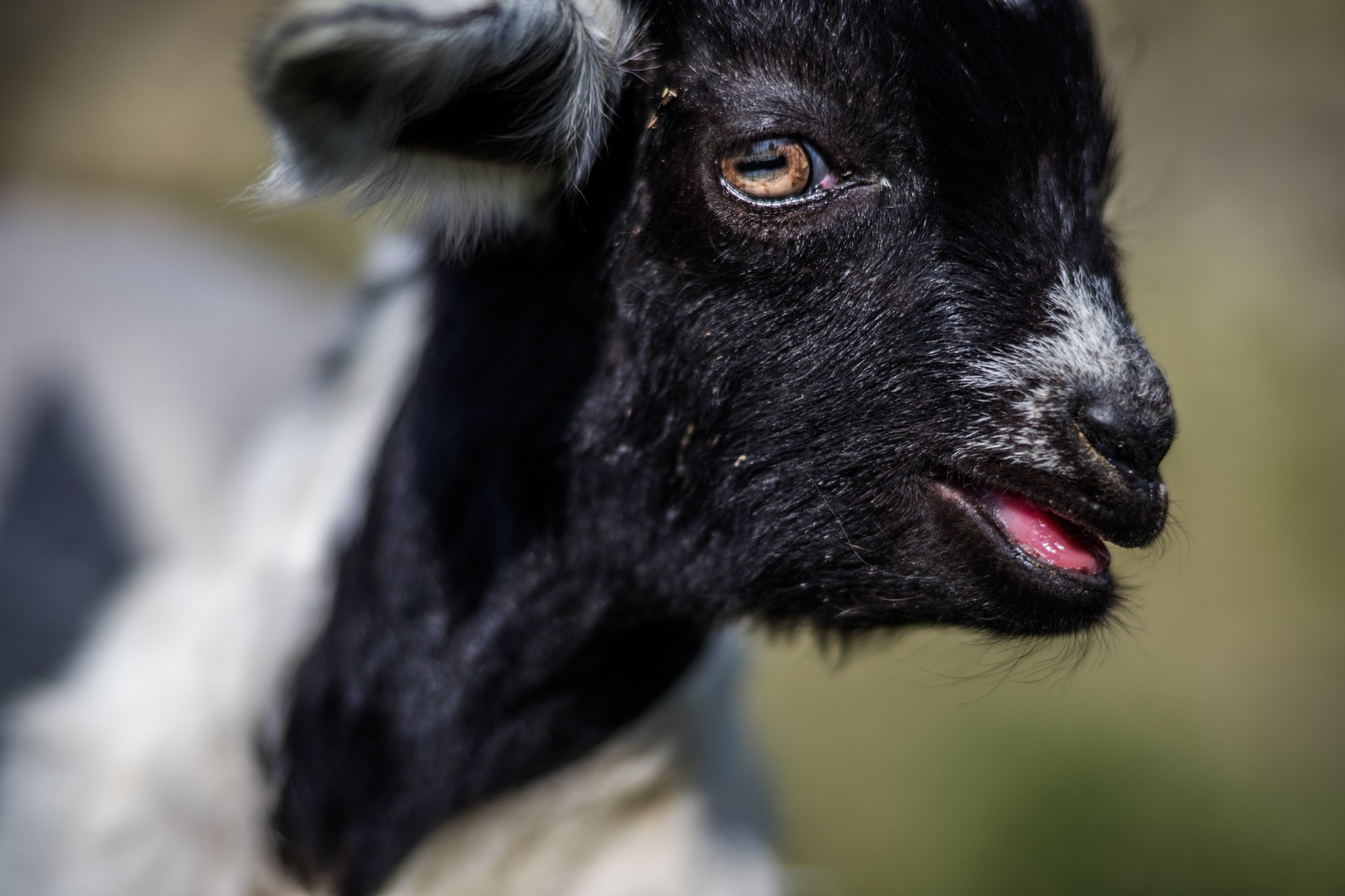 Фототур в Грузию, апрель 2017 и 2018