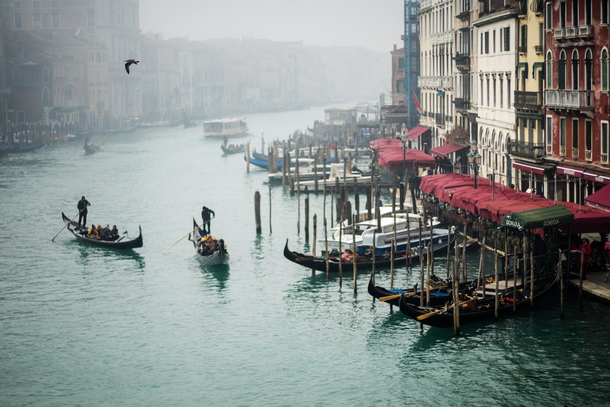 Patrick and Melissa, Венеция, Италия