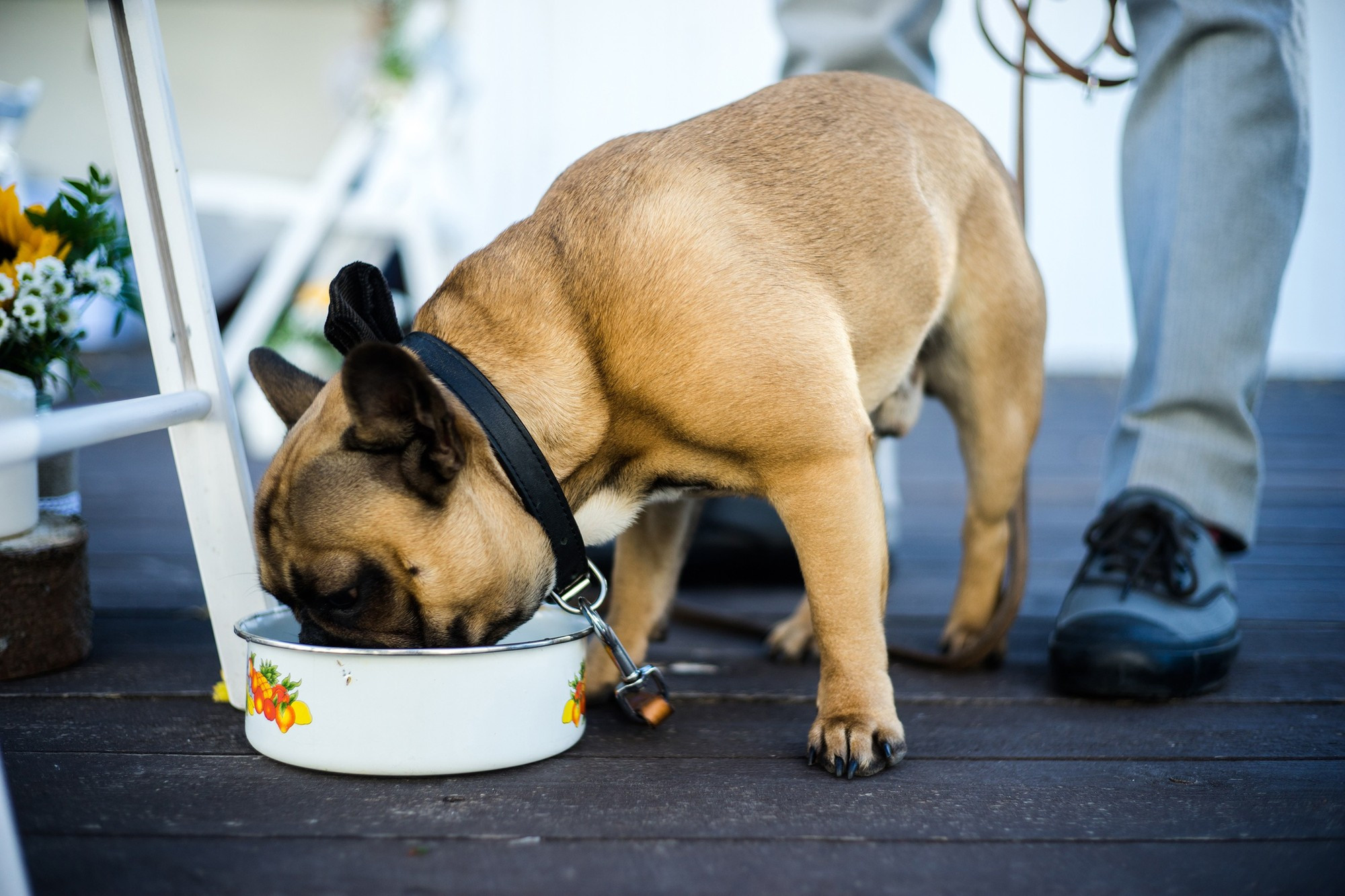 Katya and Vanya, St-Petersburg, Russia