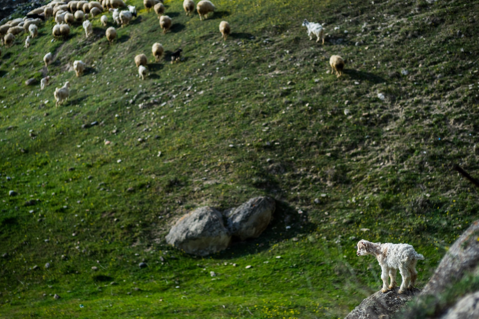 Фототур в Грузию, апрель 2017 и 2018