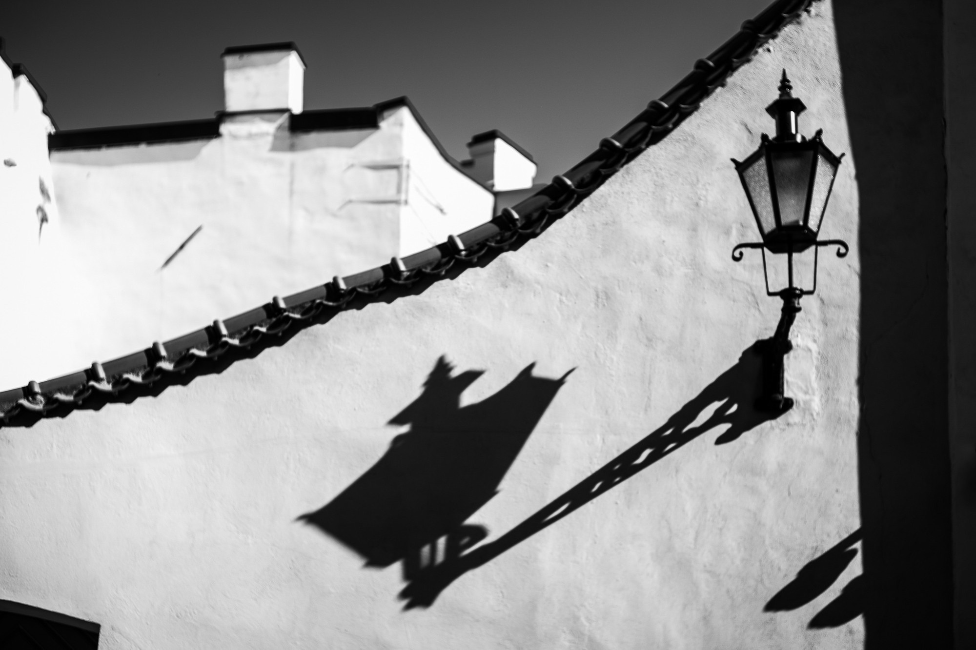 Маша и Андрей, Таллин, Эстония