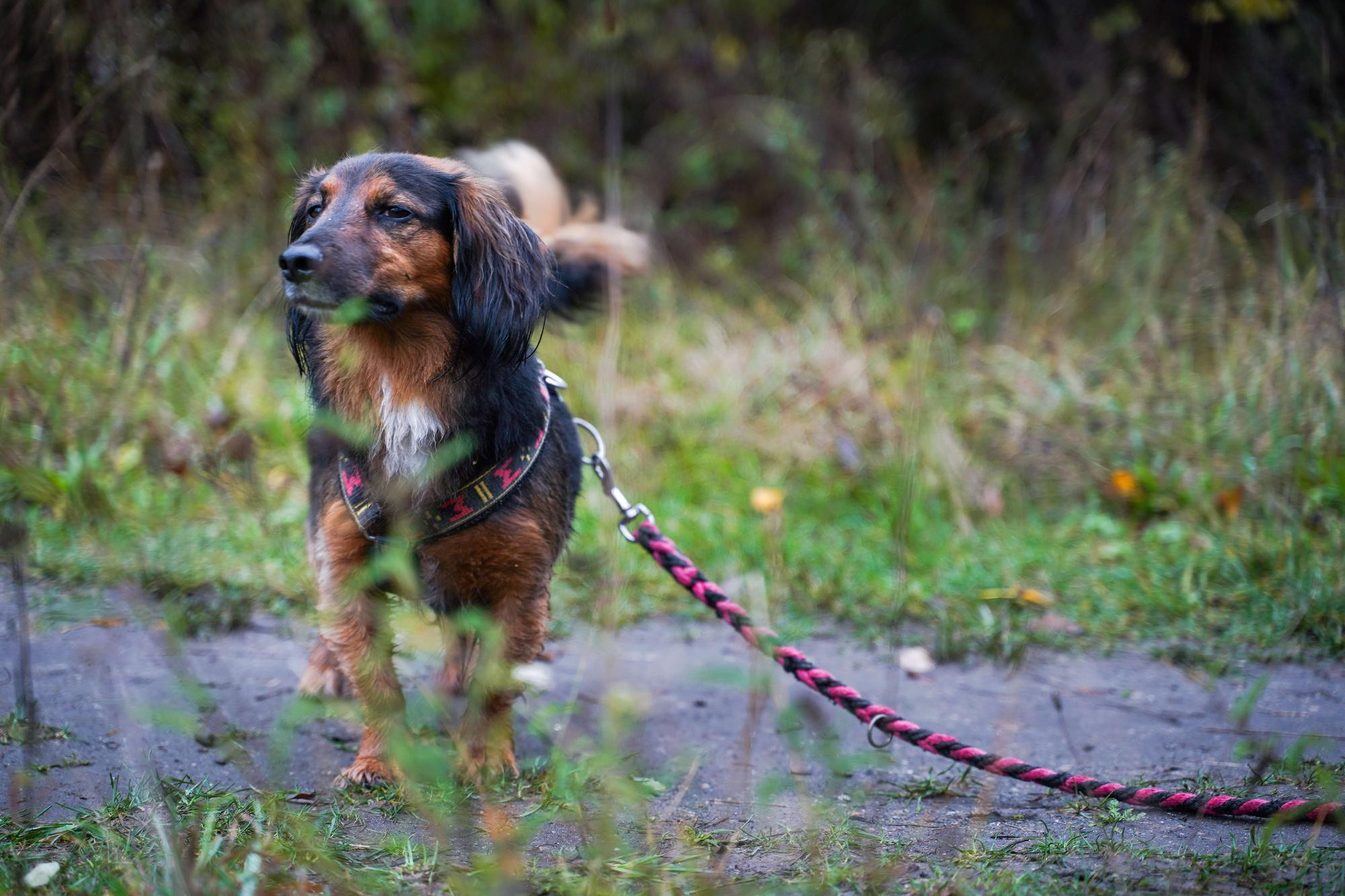 Тамара и Екатерина, Прага, Чехия