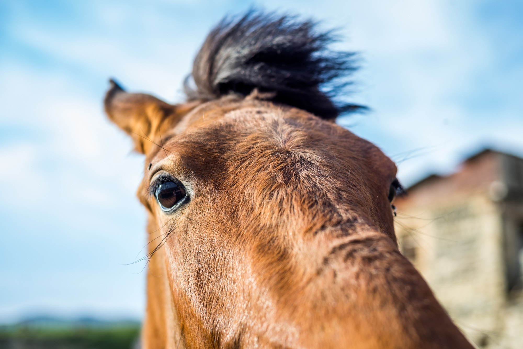 Фототур в Грузию, апрель 2017 и 2018