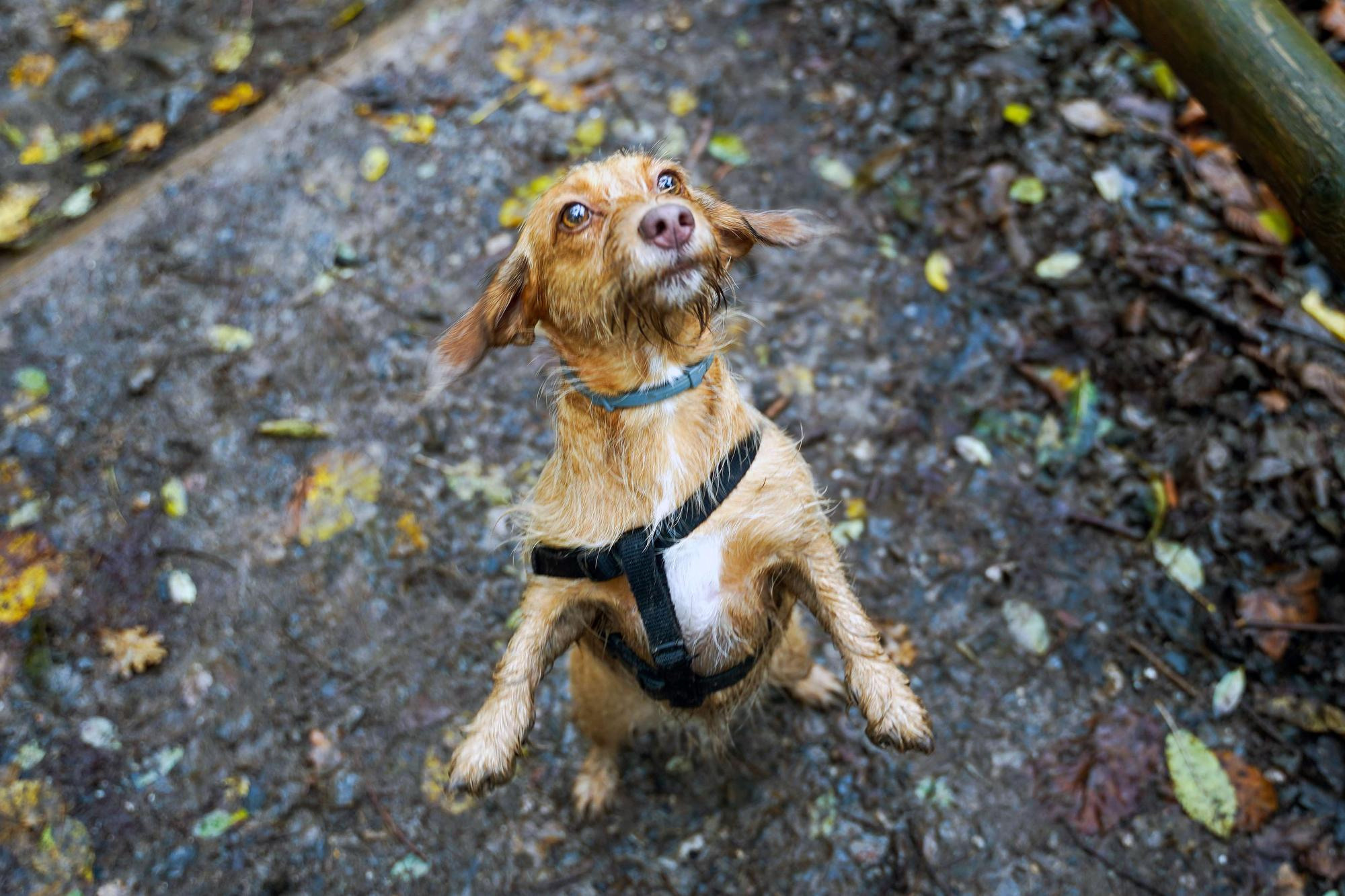Тамара и Екатерина, Прага, Чехия