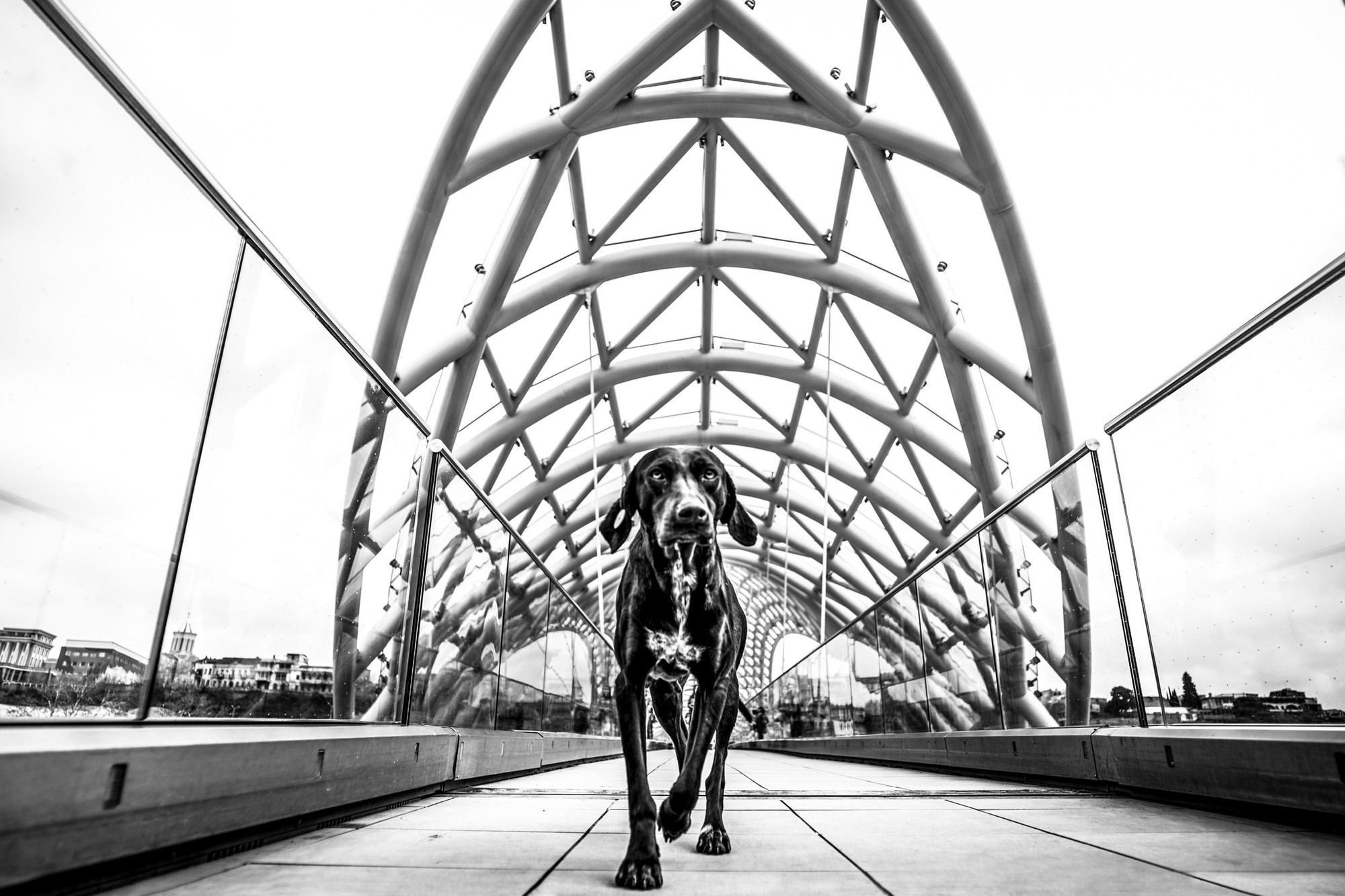 Фототур в Грузию, апрель 2017 и 2018