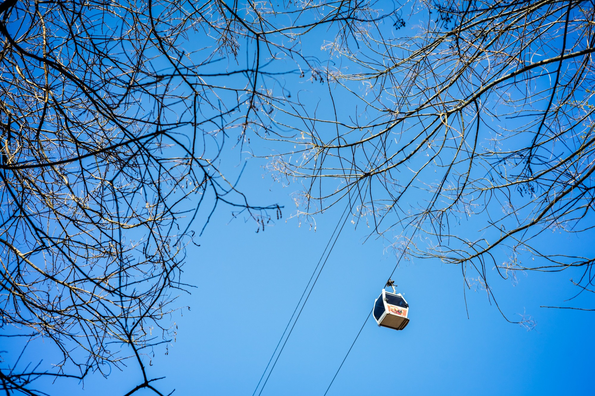 Фототур в Грузию, апрель 2017 и 2018