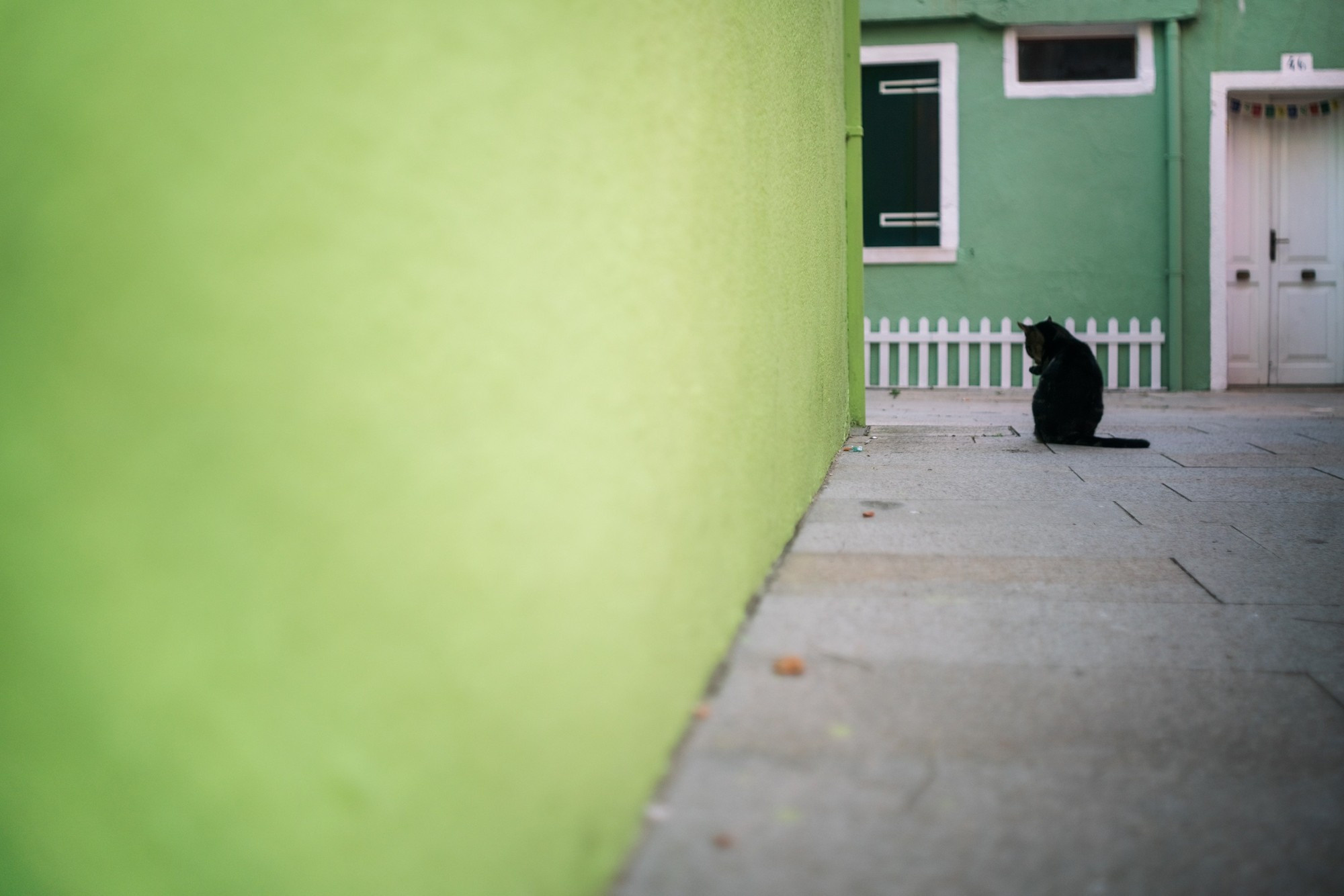 Jiemi and Kevin, Бурано, Италия