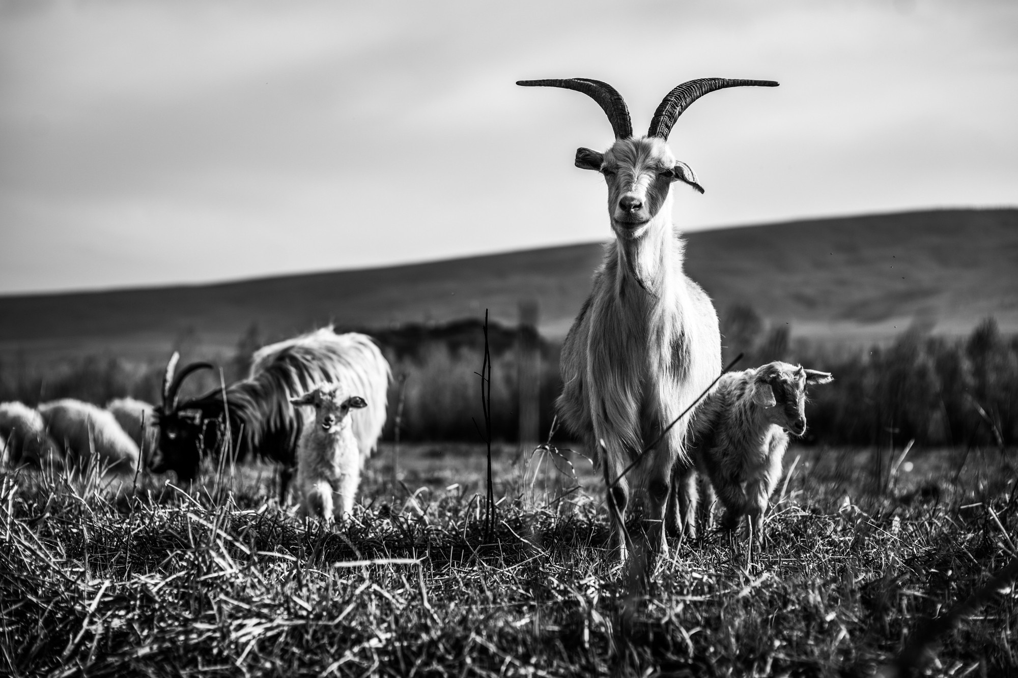 Фототур в Грузию, апрель 2017 и 2018
