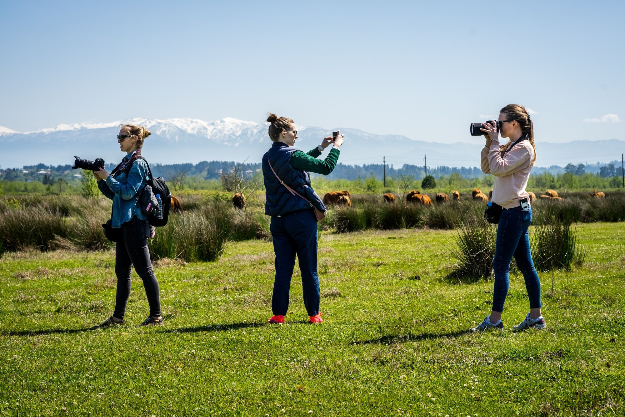 Фототур в Грузию, апрель 2017 и 2018