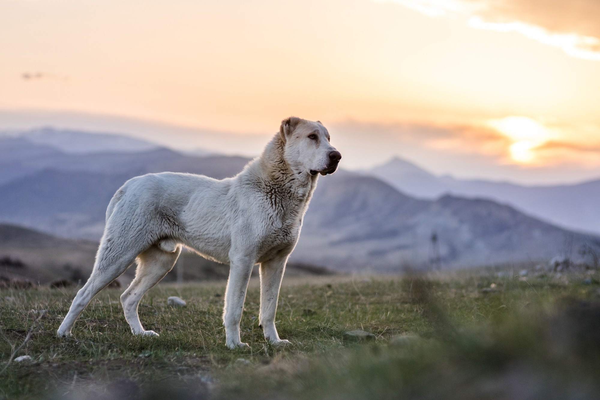 Фототур в Грузию, апрель 2017 и 2018