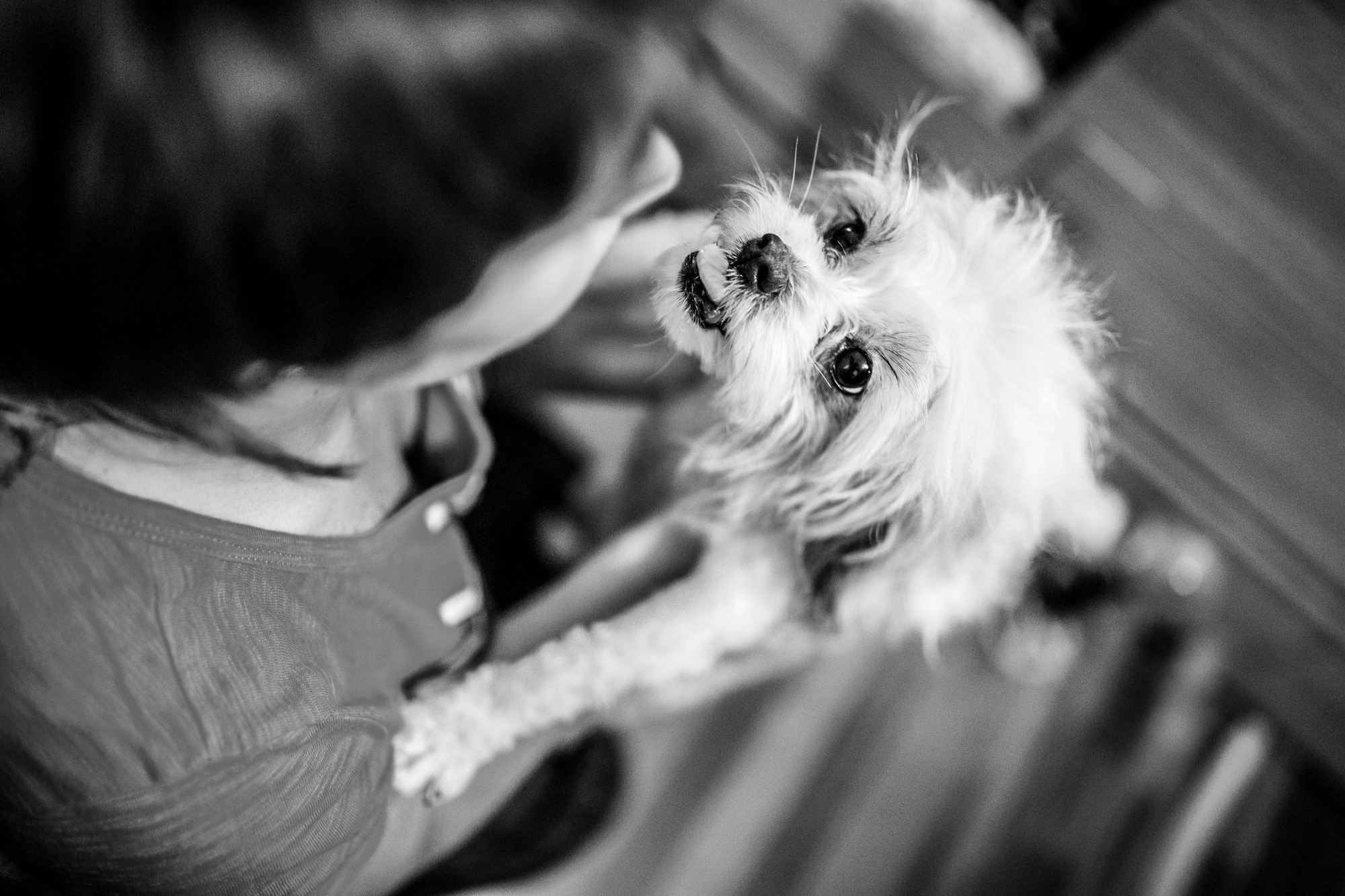 Один день. Даня. 6 лет