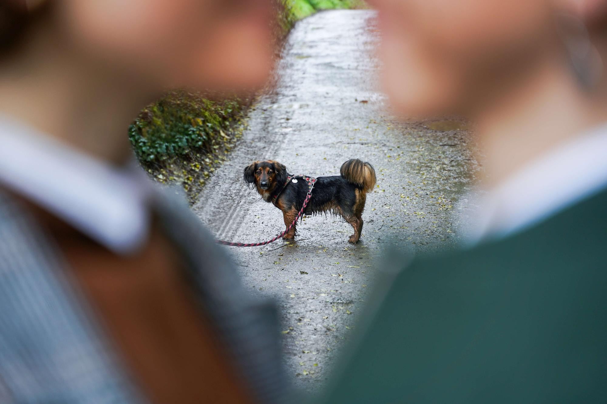 Тамара и Екатерина, Прага, Чехия
