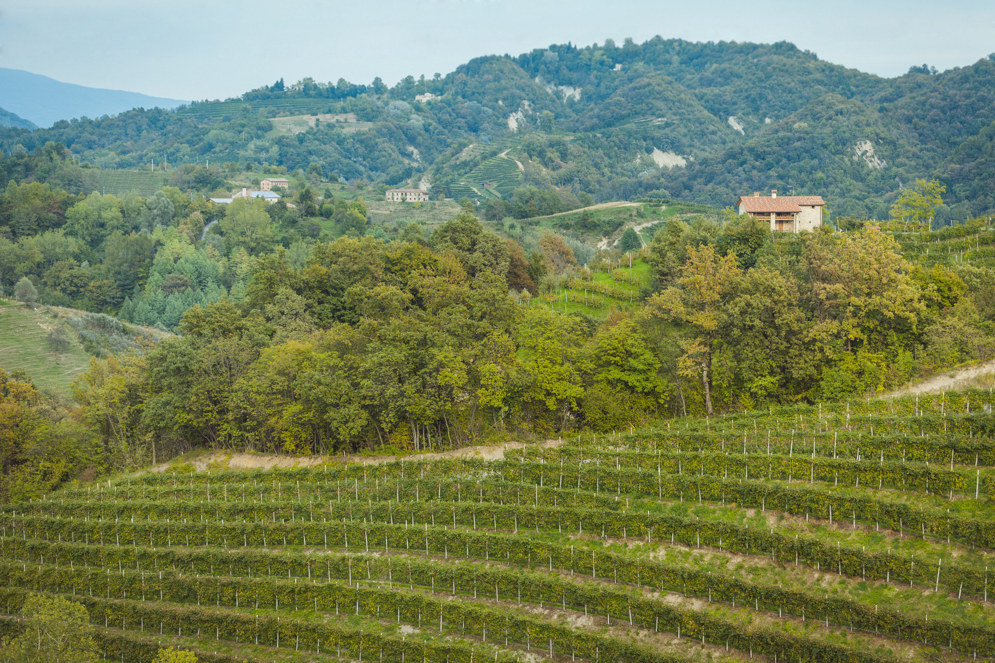 Наталья и Артем, Венето, Италия