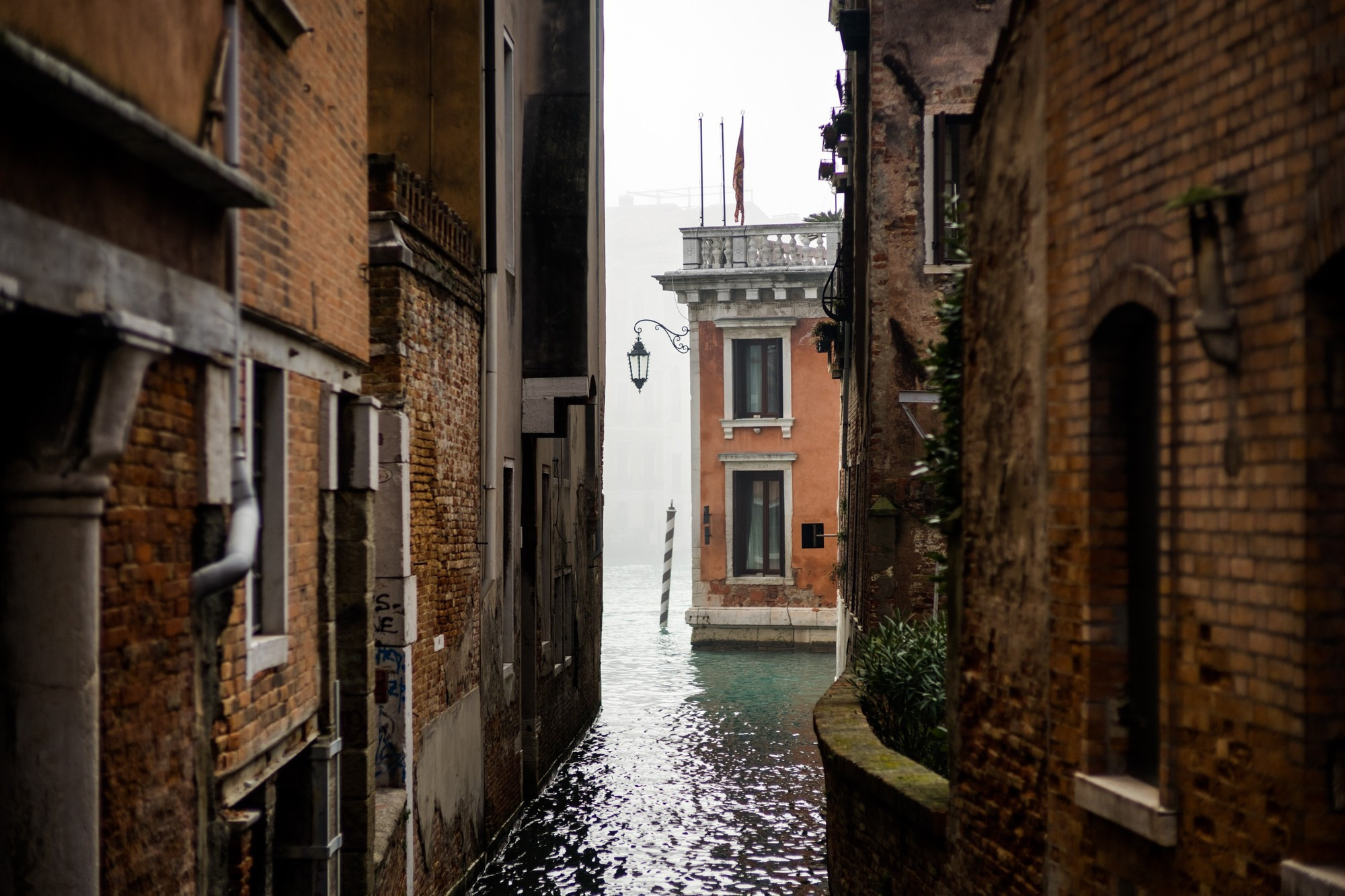 Patrick and Melissa, Венеция, Италия