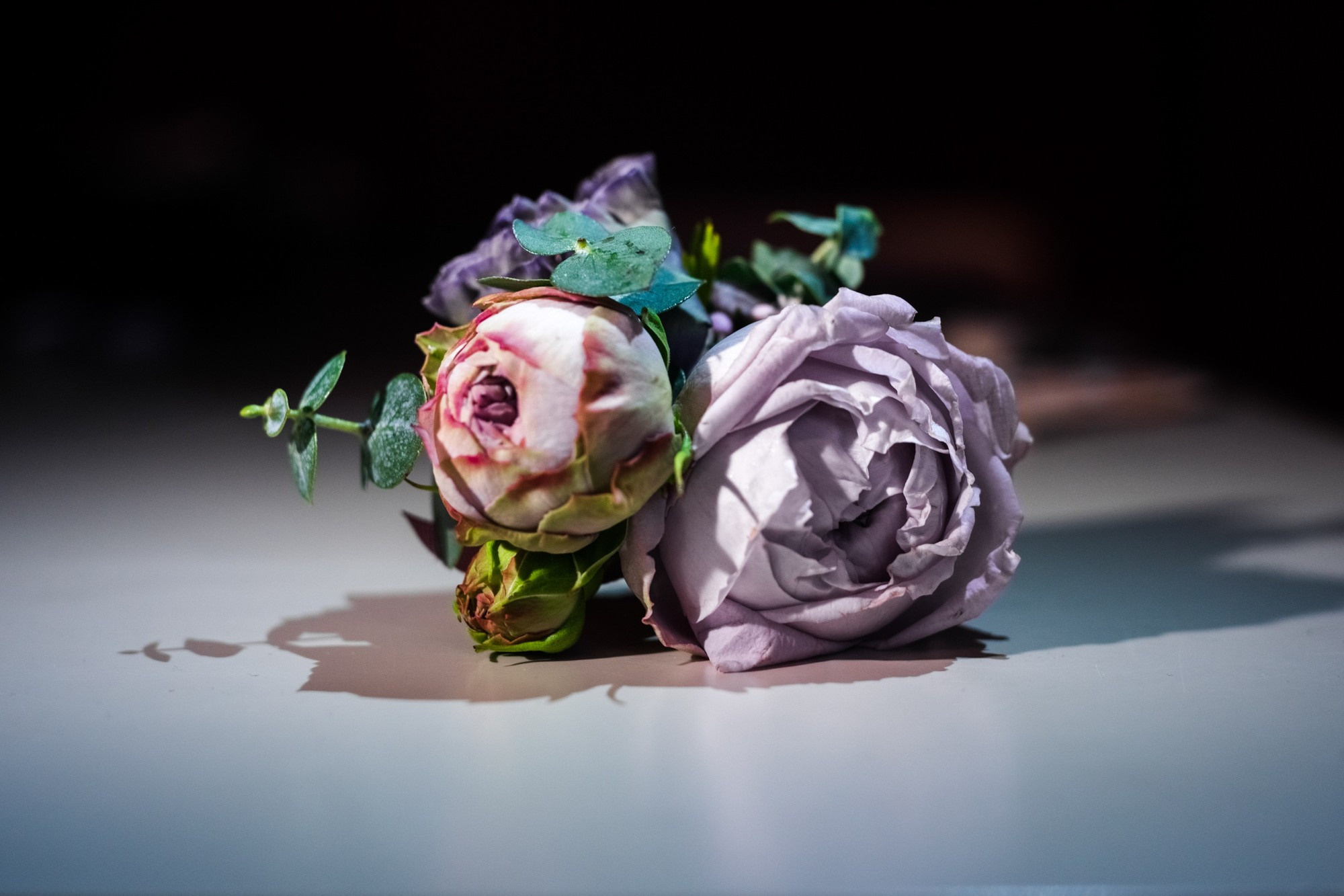 Анастасия и Борис, Санкт-Петербург, Россия