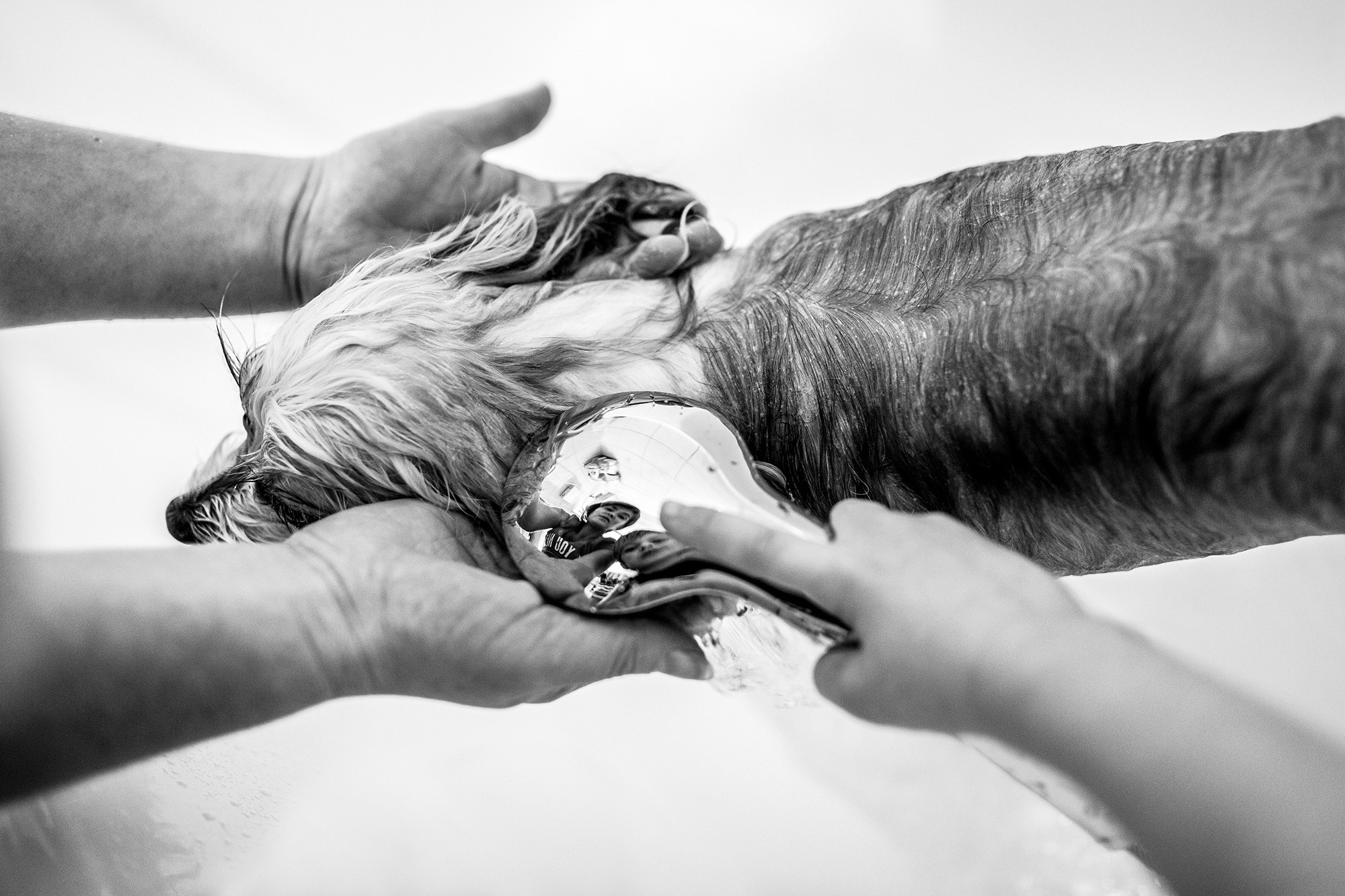 Один день. Даня. 6 лет