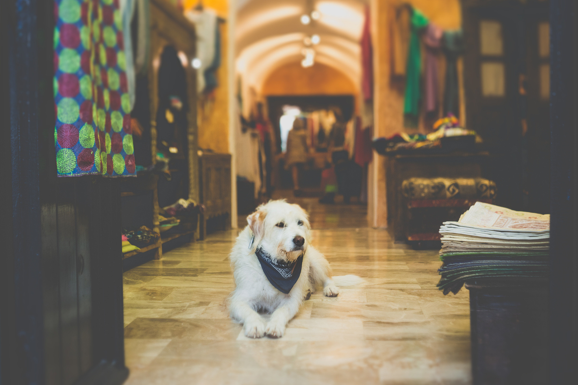 Вера и Андрей, Санторини, Греция