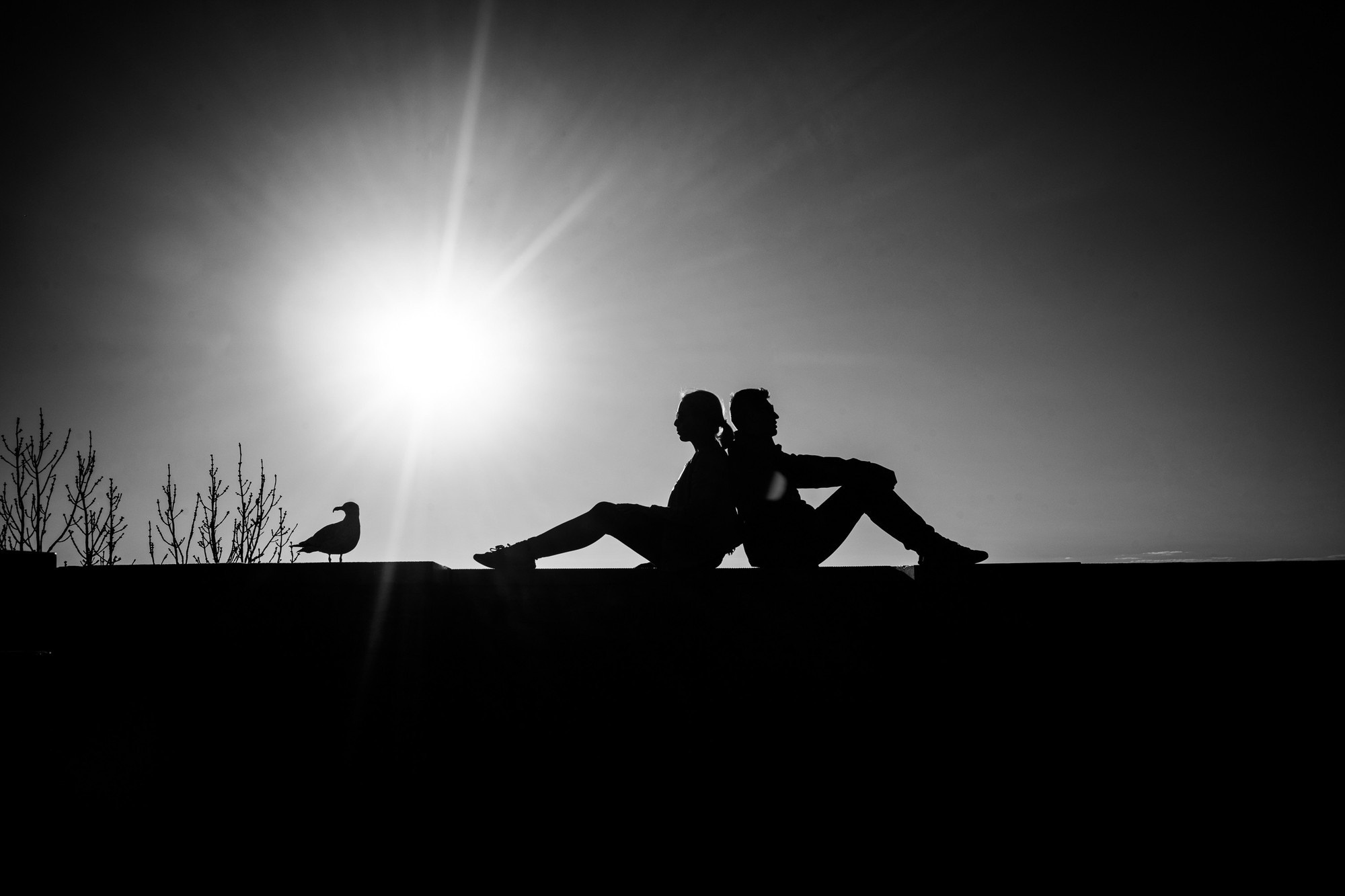 Маша и Андрей, Таллин, Эстония