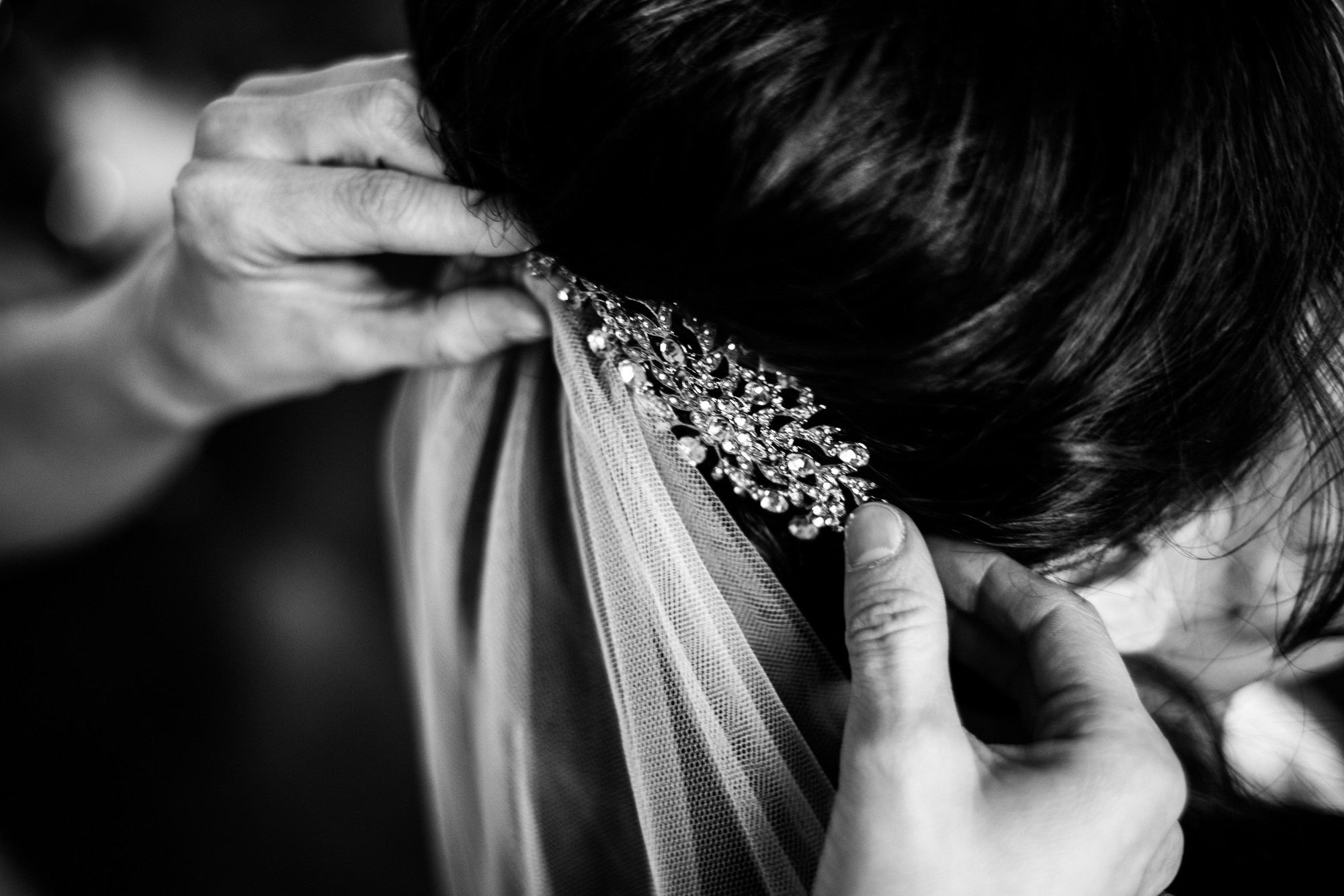 Елена и Кирилл, Санкт-Петербург, Россия