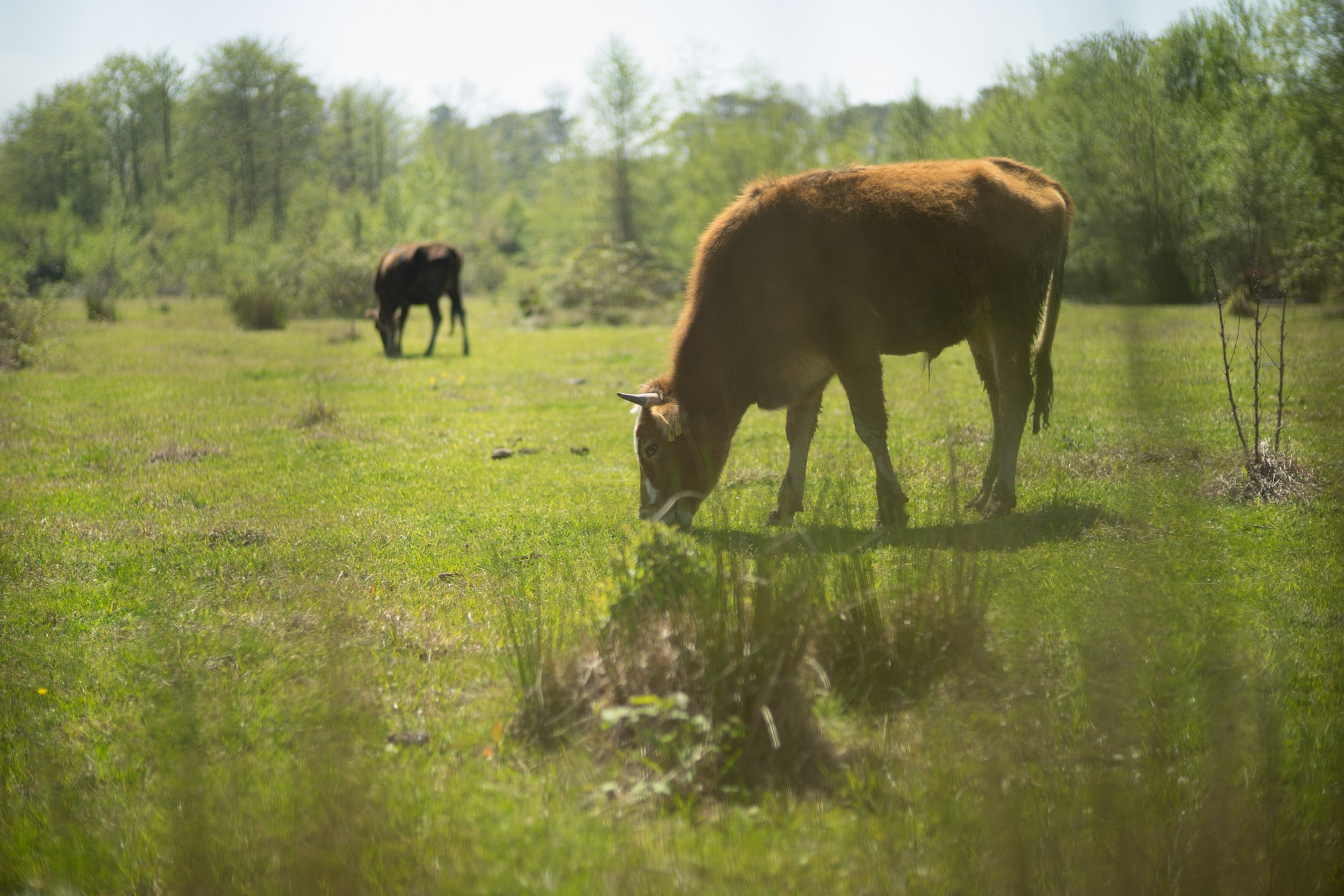 Фототур в Грузию, апрель 2017 и 2018