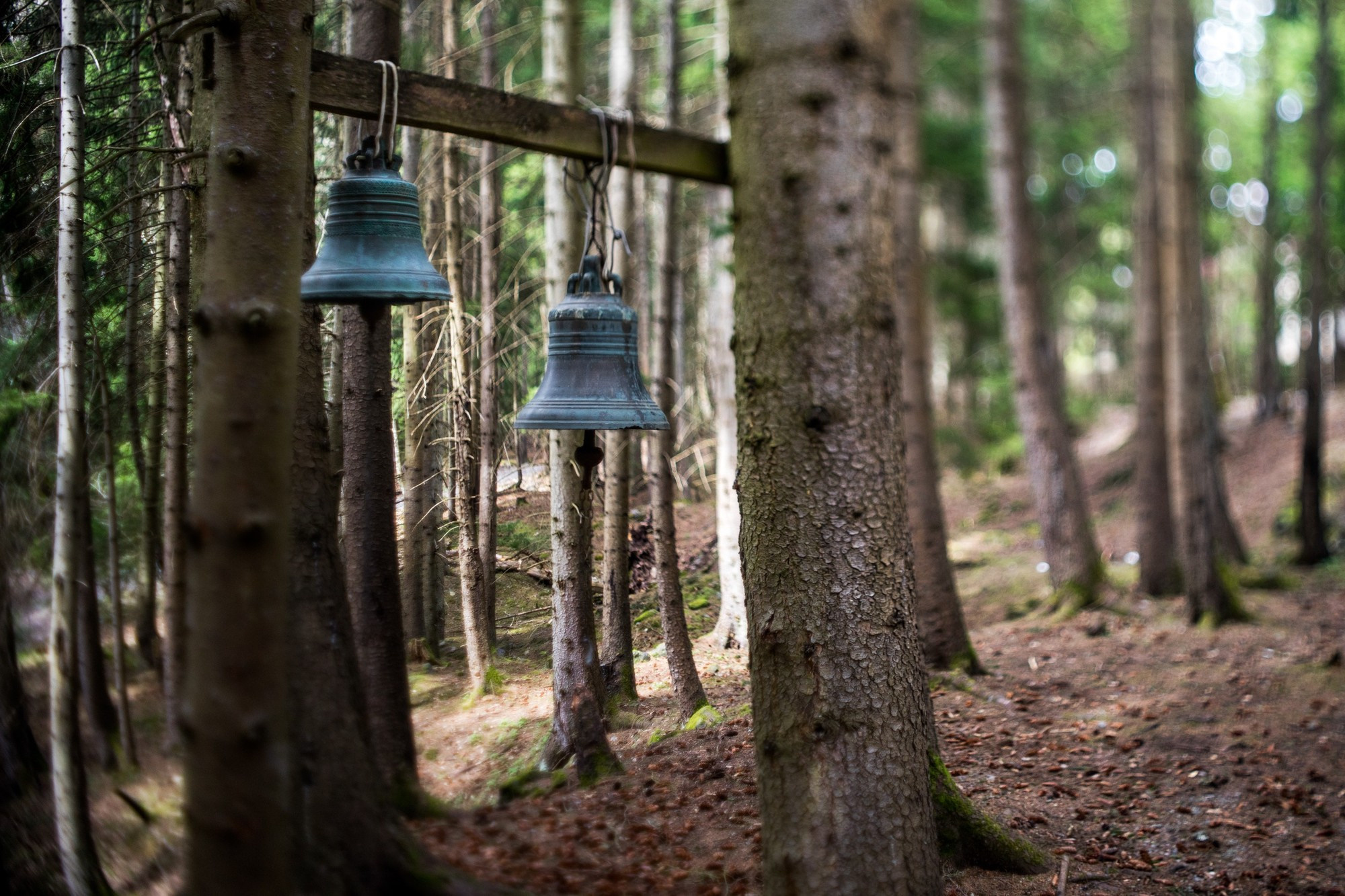Фототур в Грузию, апрель 2017 и 2018