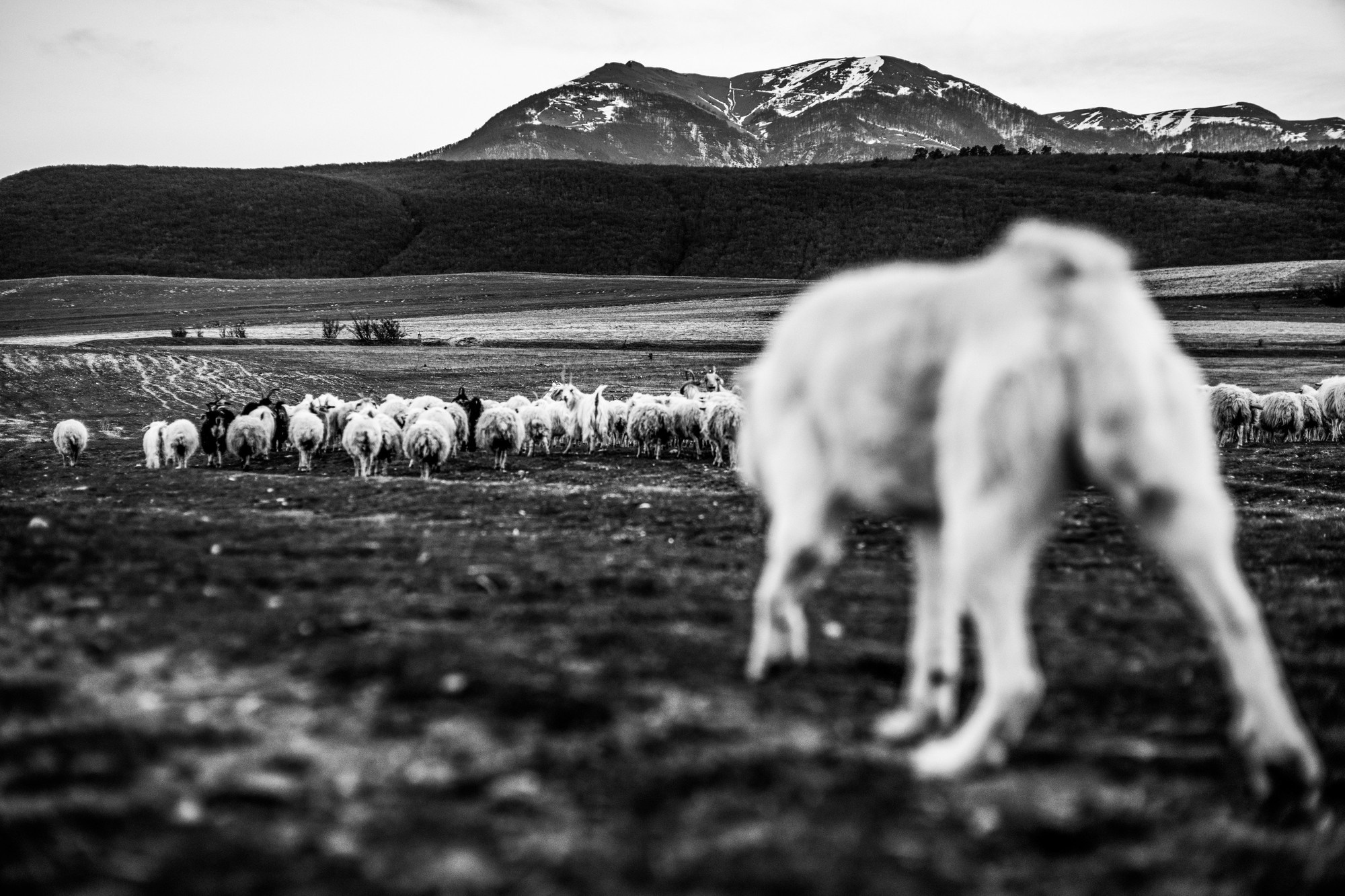 Фототур в Грузию, апрель 2017 и 2018