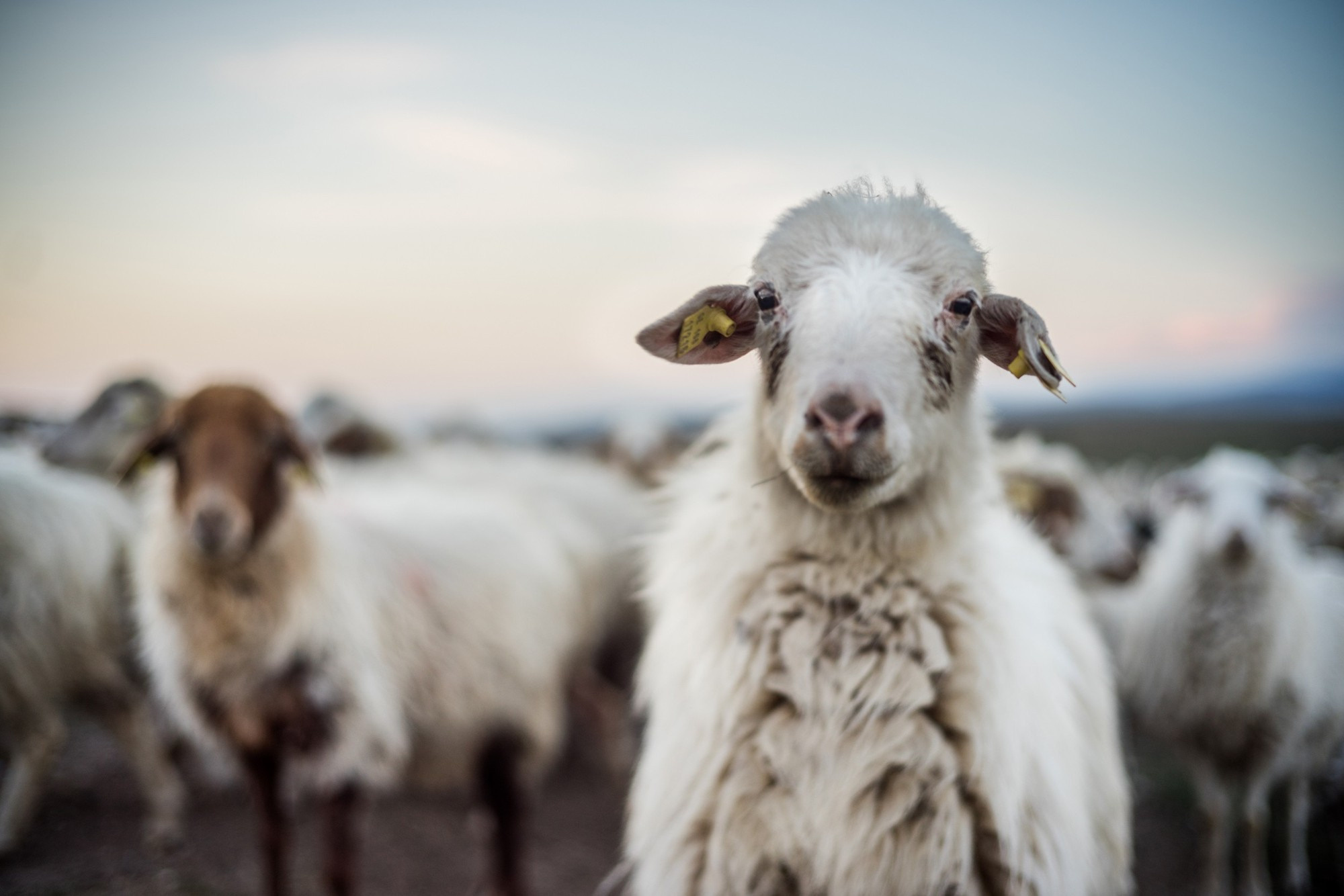 Фототур в Грузию, апрель 2017 и 2018