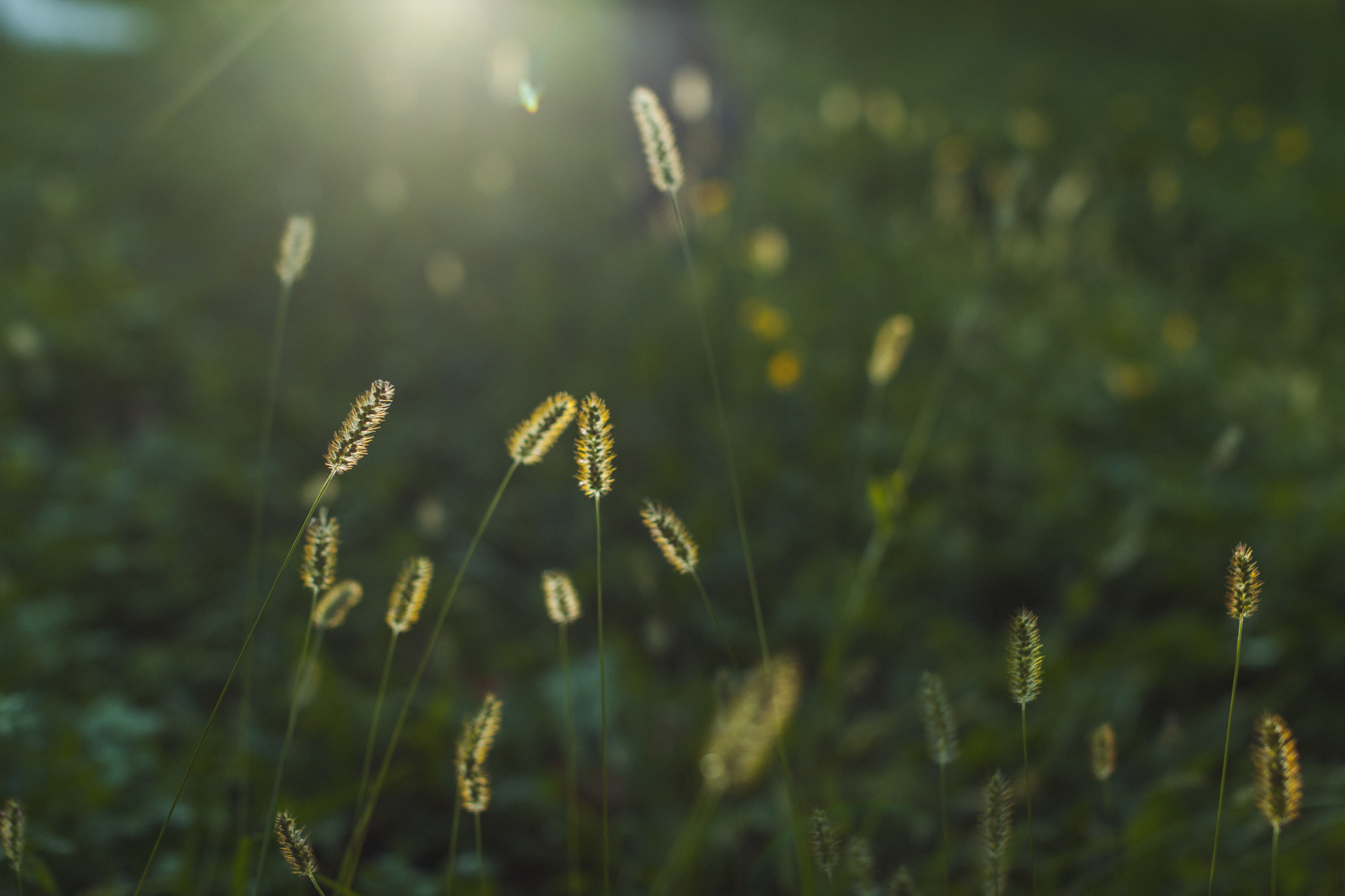 Наталья и Артем, Венето, Италия