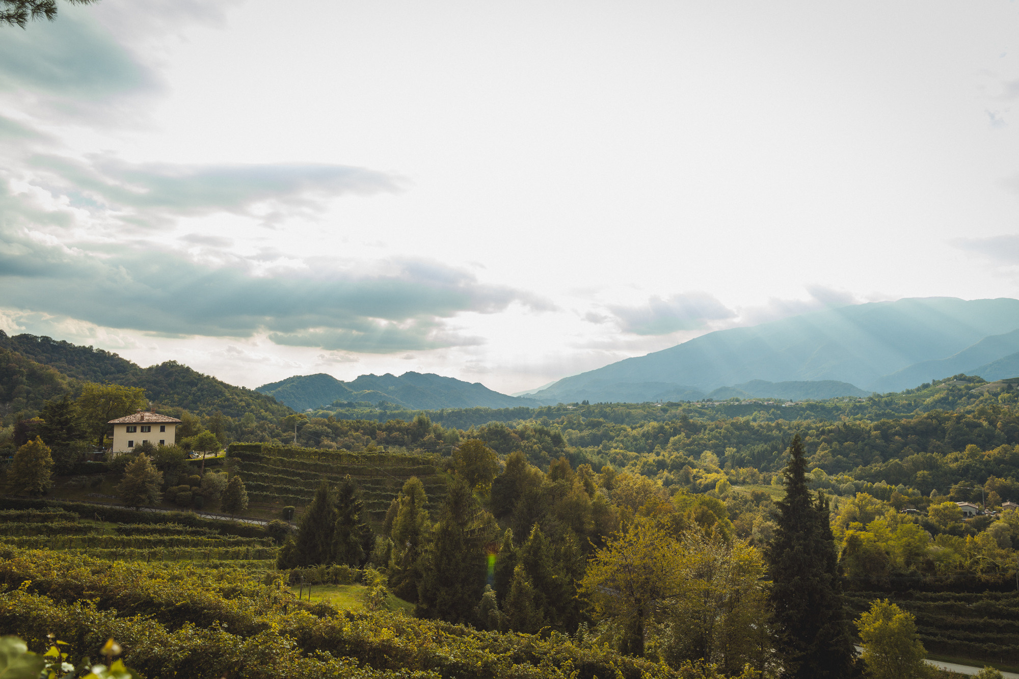 Наталья и Артем, Венето, Италия
