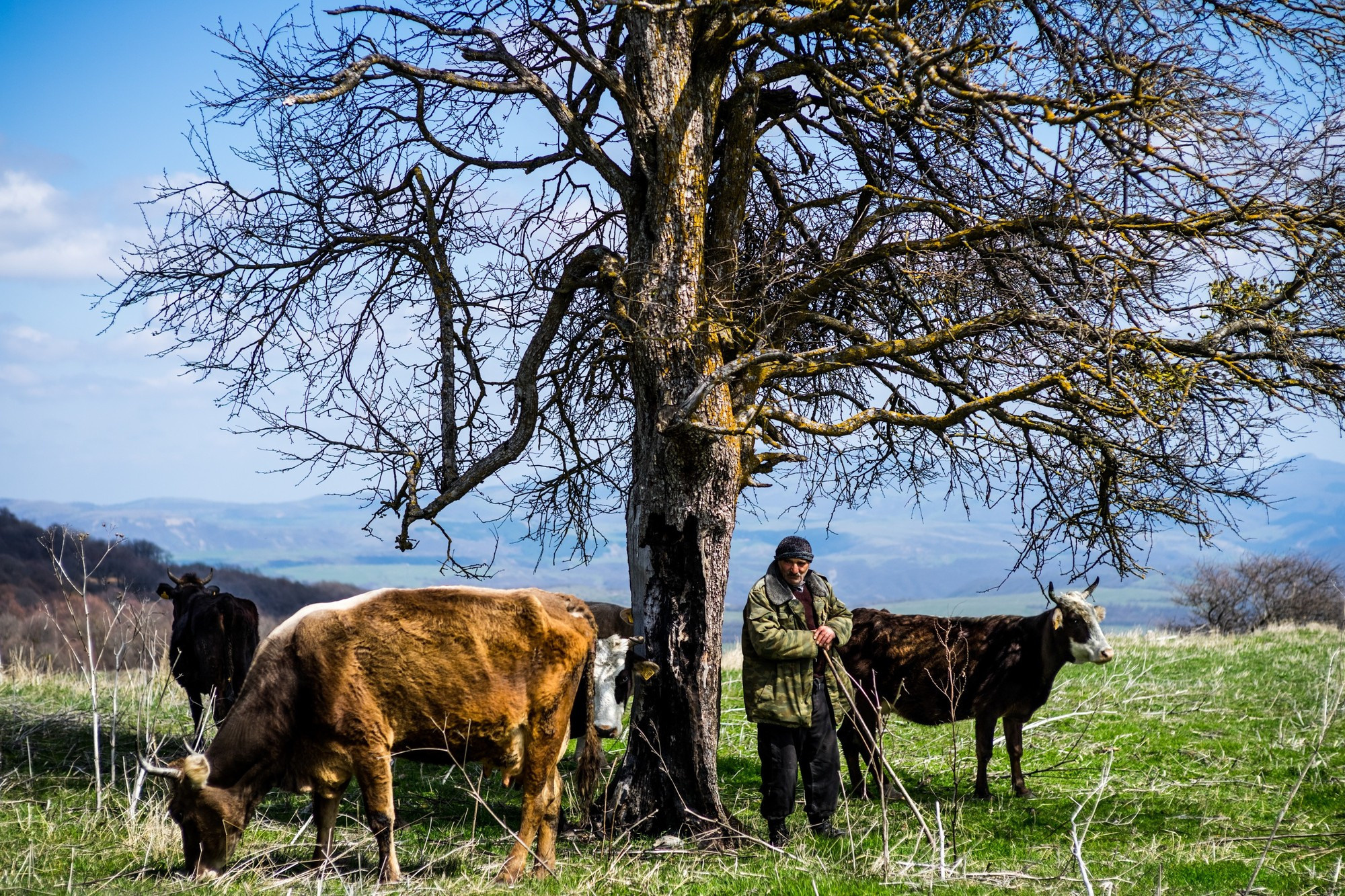 Фототур в Грузию, апрель 2017 и 2018