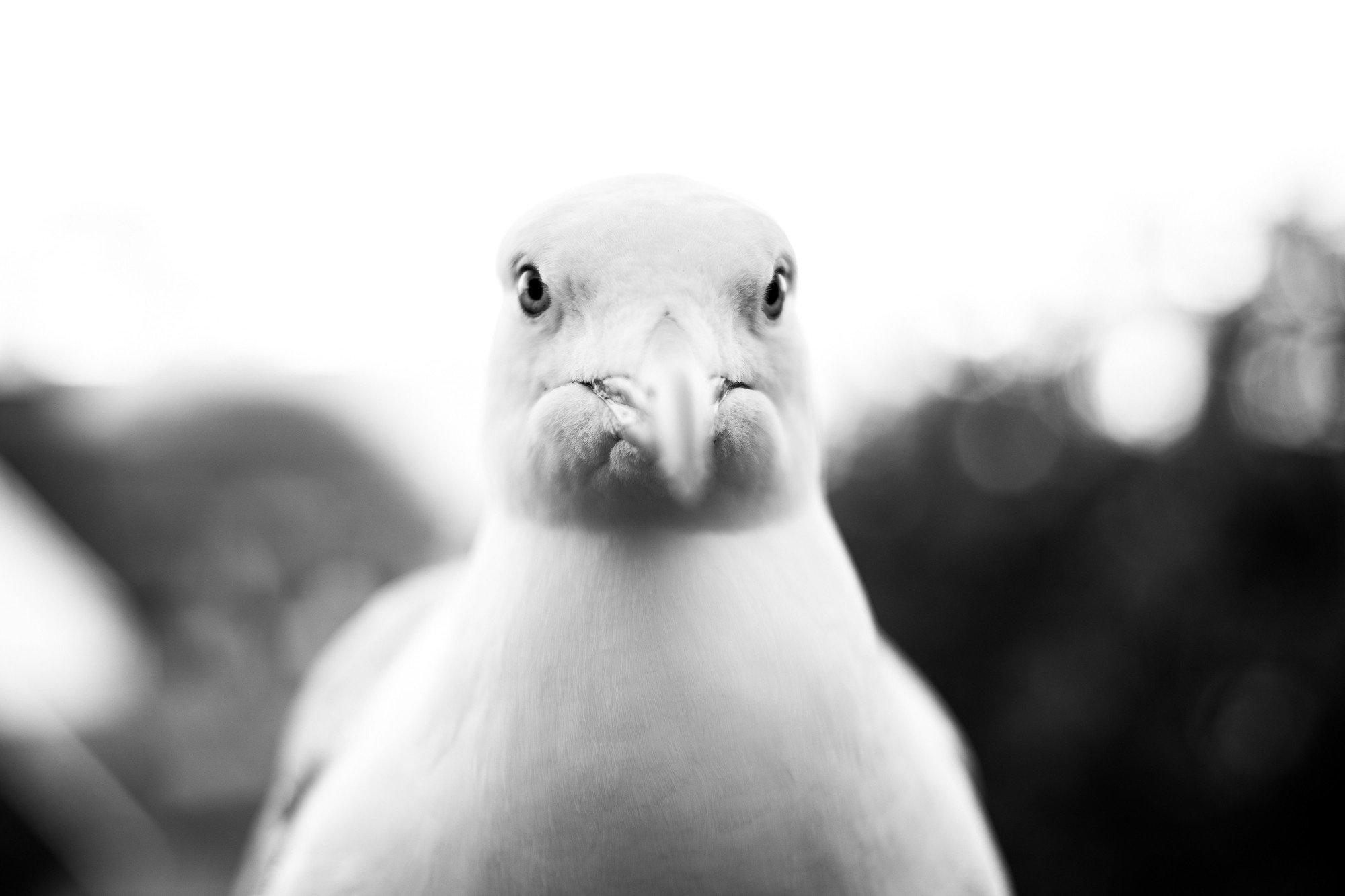 Маша и Андрей, Таллин, Эстония