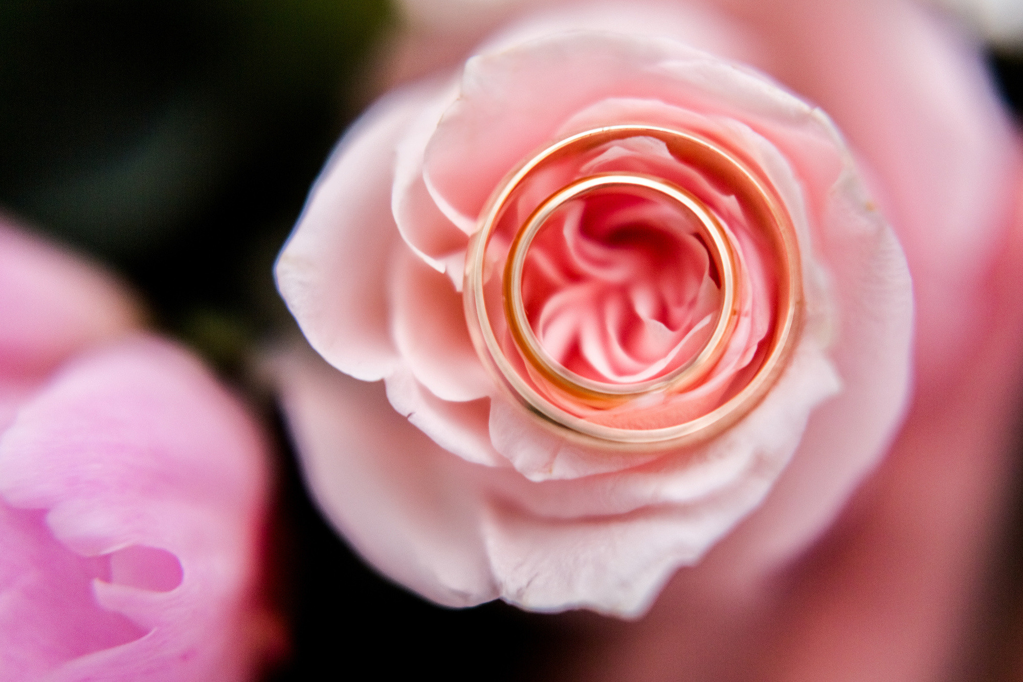 Александр и Кристина, Санкт-Петербург, Россия