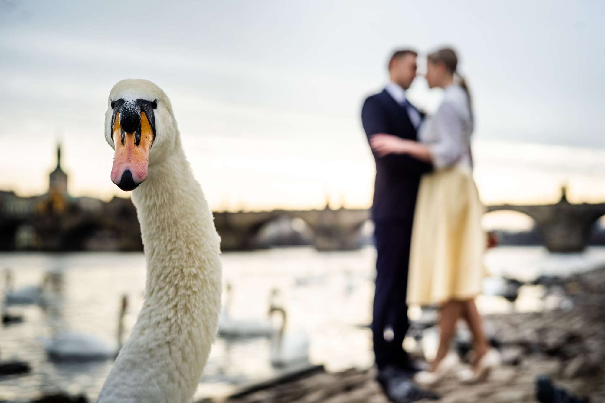 Григорий и Ольга, Прага, Чехия