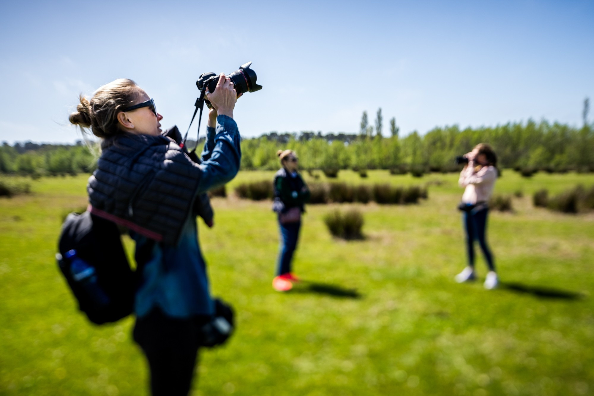 Фототур в Грузию, апрель 2017 и 2018