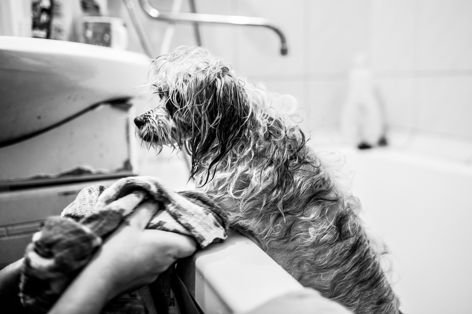 Один день. Даня. 6 лет