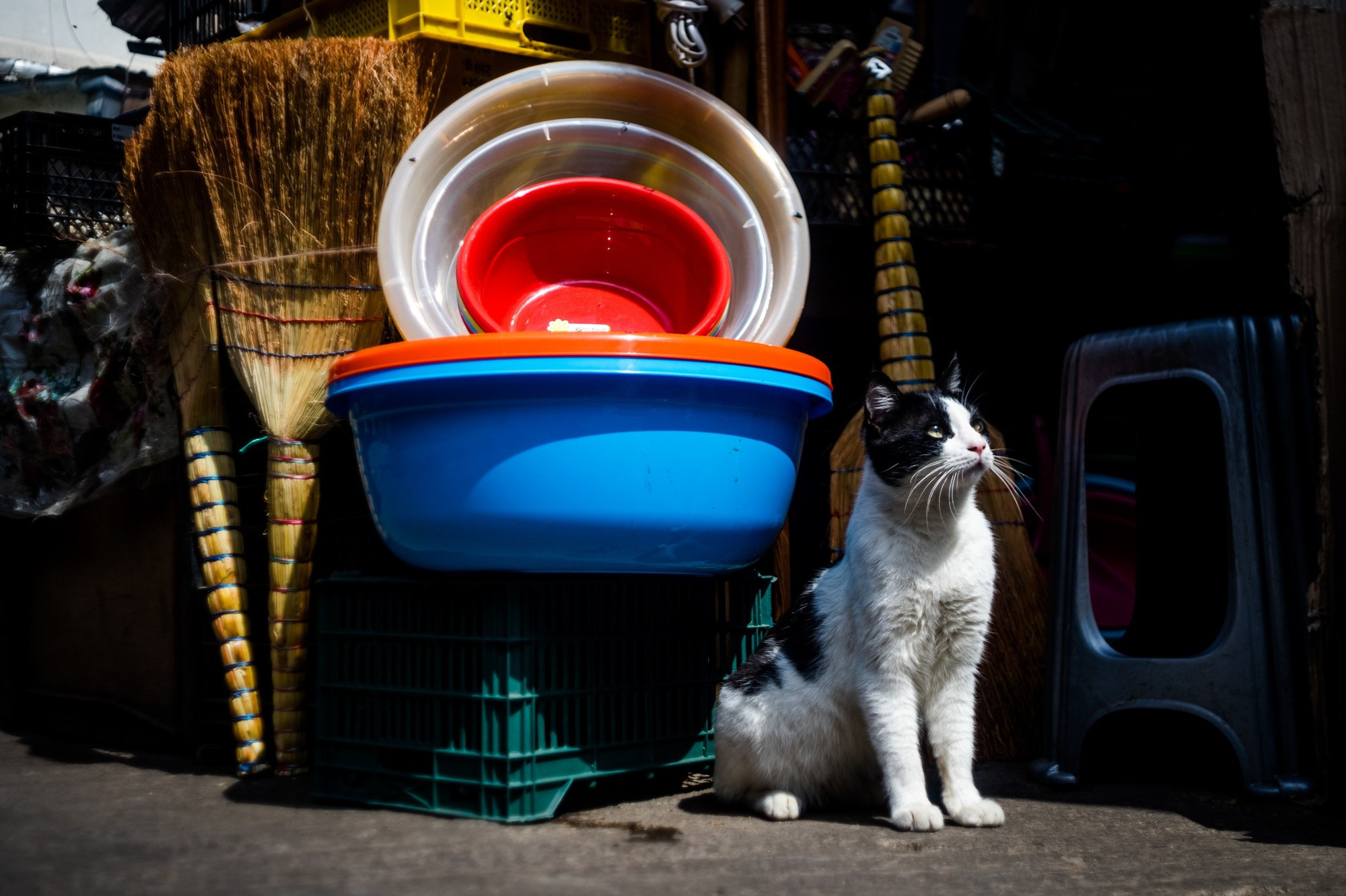 Фототур в Грузию, апрель 2017 и 2018