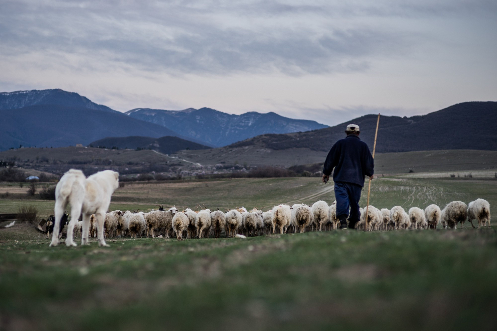 Фототур в Грузию, апрель 2017 и 2018