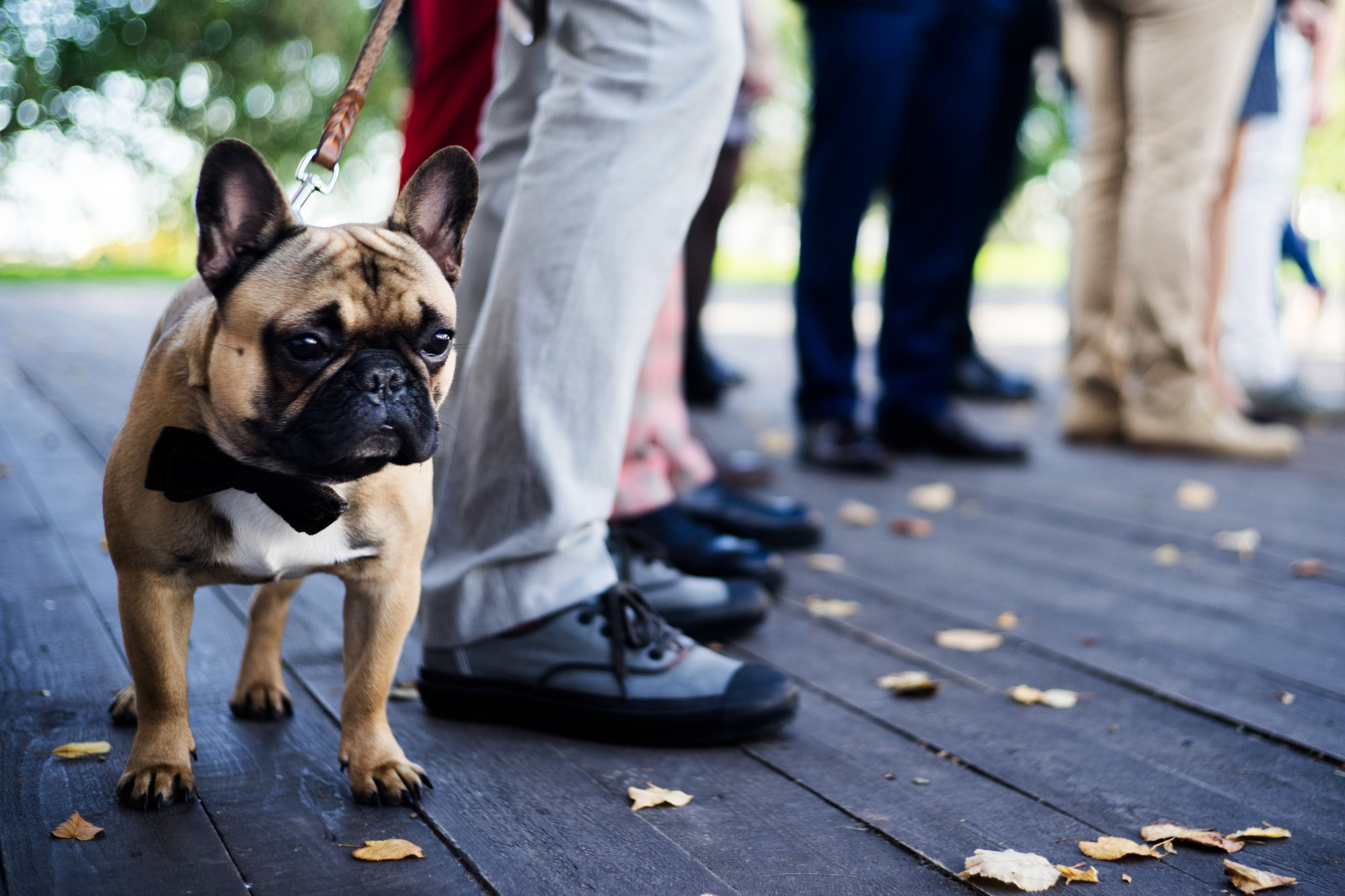 Katya and Vanya, St-Petersburg, Russia