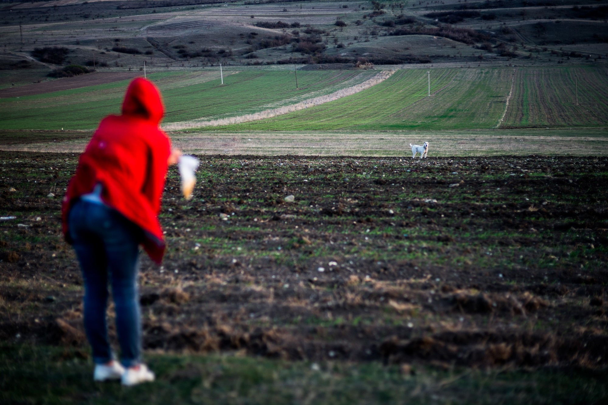 Фототур в Грузию, апрель 2017 и 2018