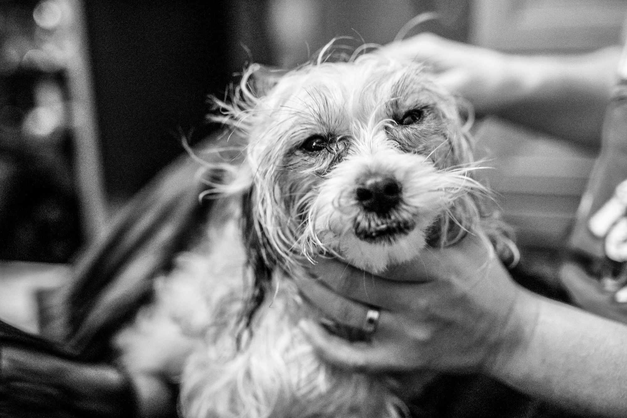 Один день. Даня. 6 лет